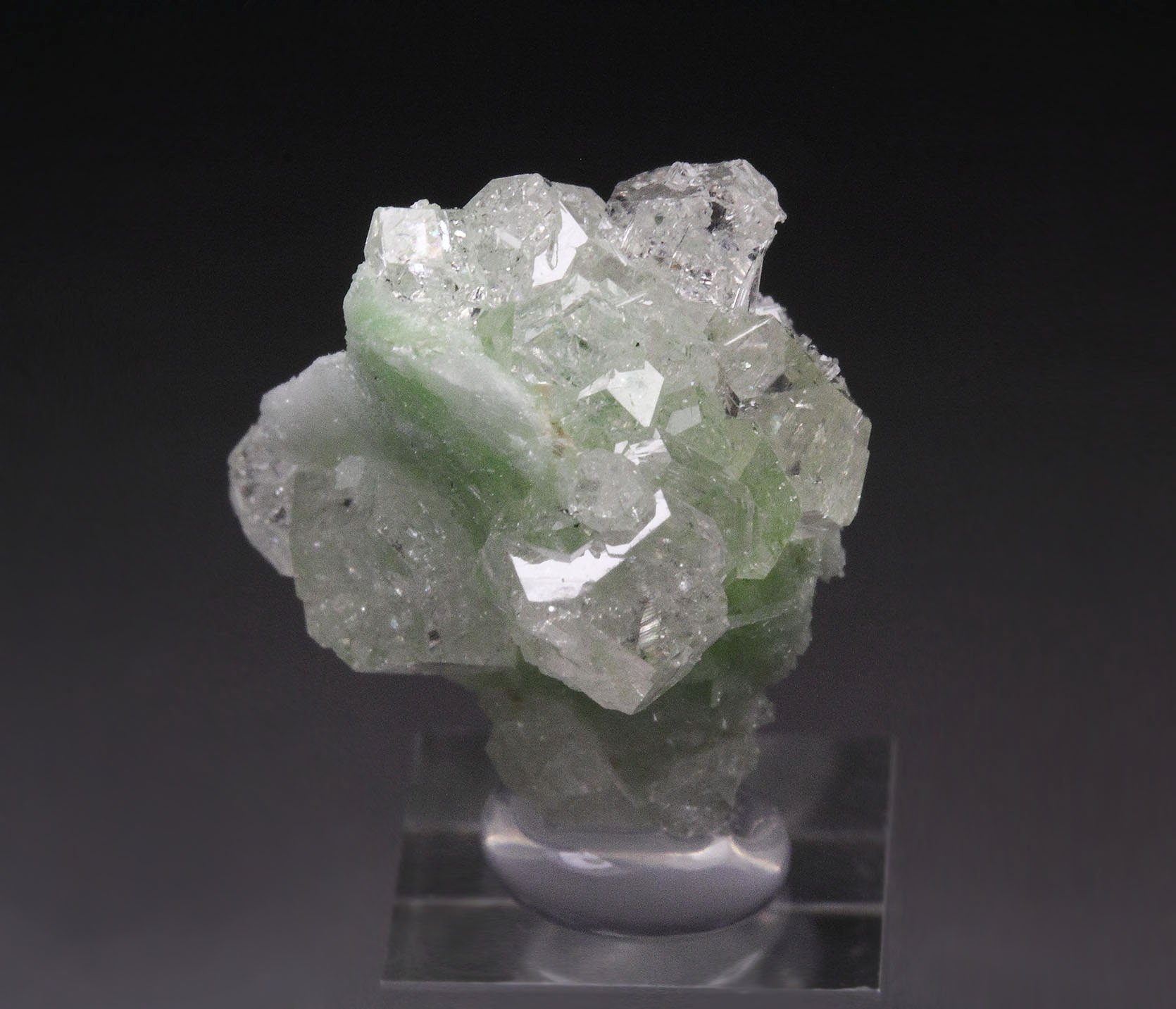 colorless gem GARNET var. GROSSULAR, DIOPSIDE