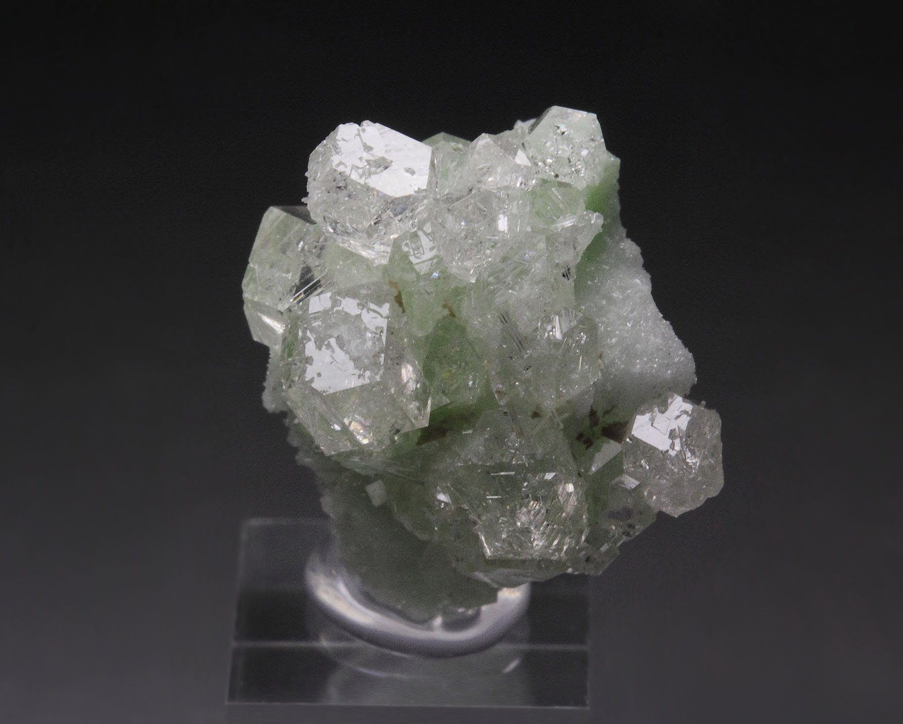 colorless gem GARNET var. GROSSULAR, DIOPSIDE