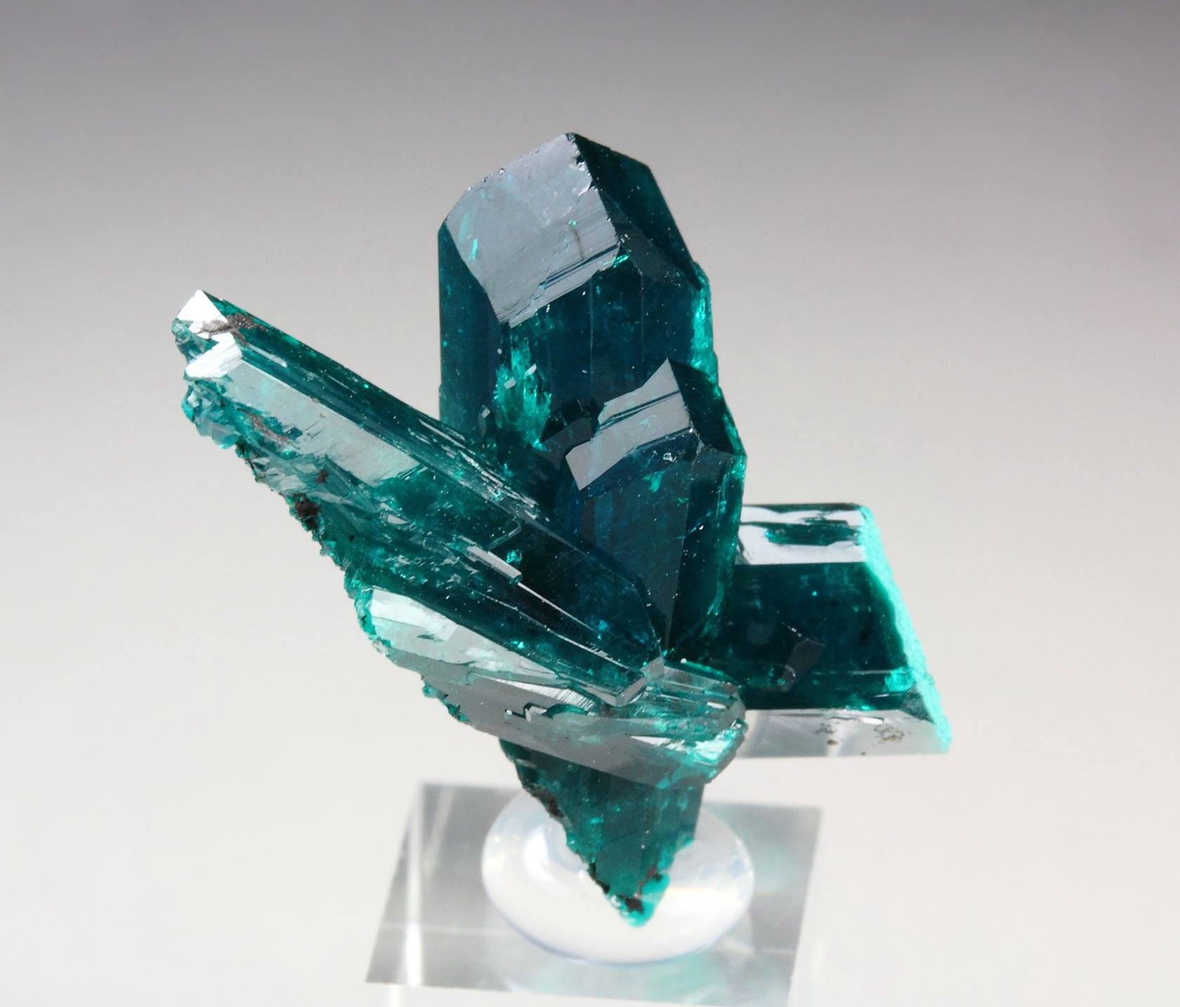 gemmy DIOPTASE