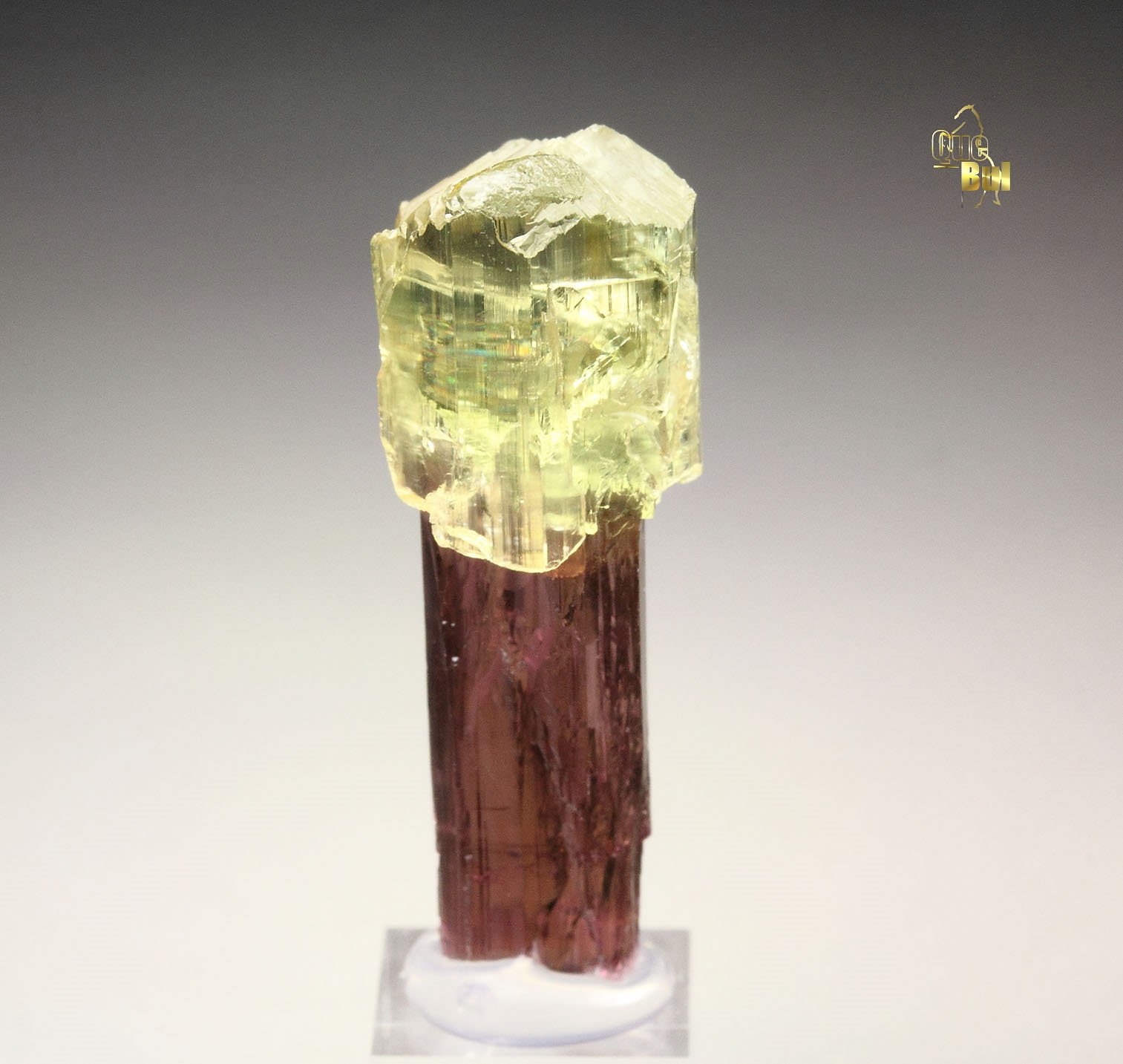 scepter TOURMALINE var. ELBAITE