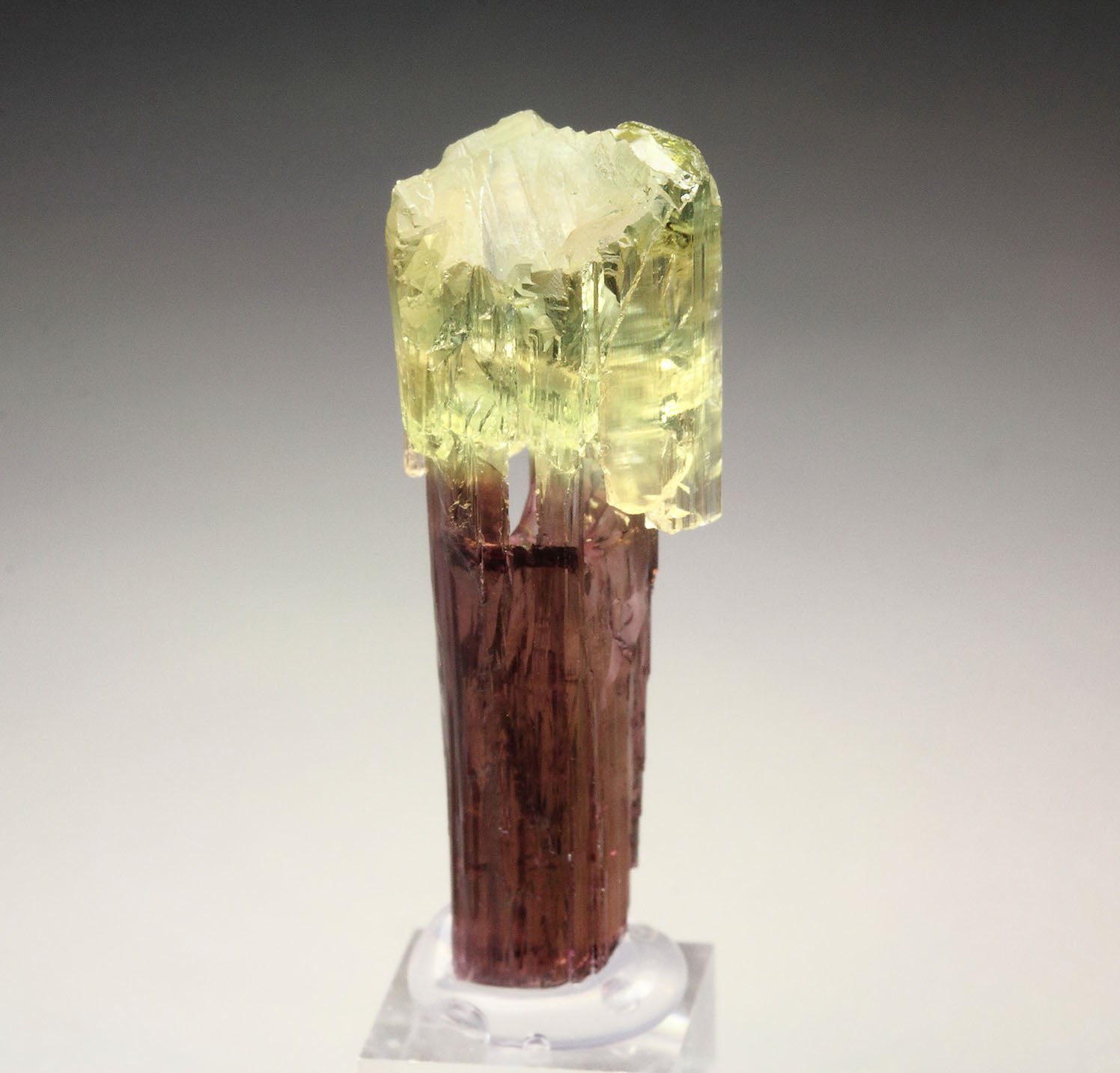 scepter TOURMALINE var. ELBAITE