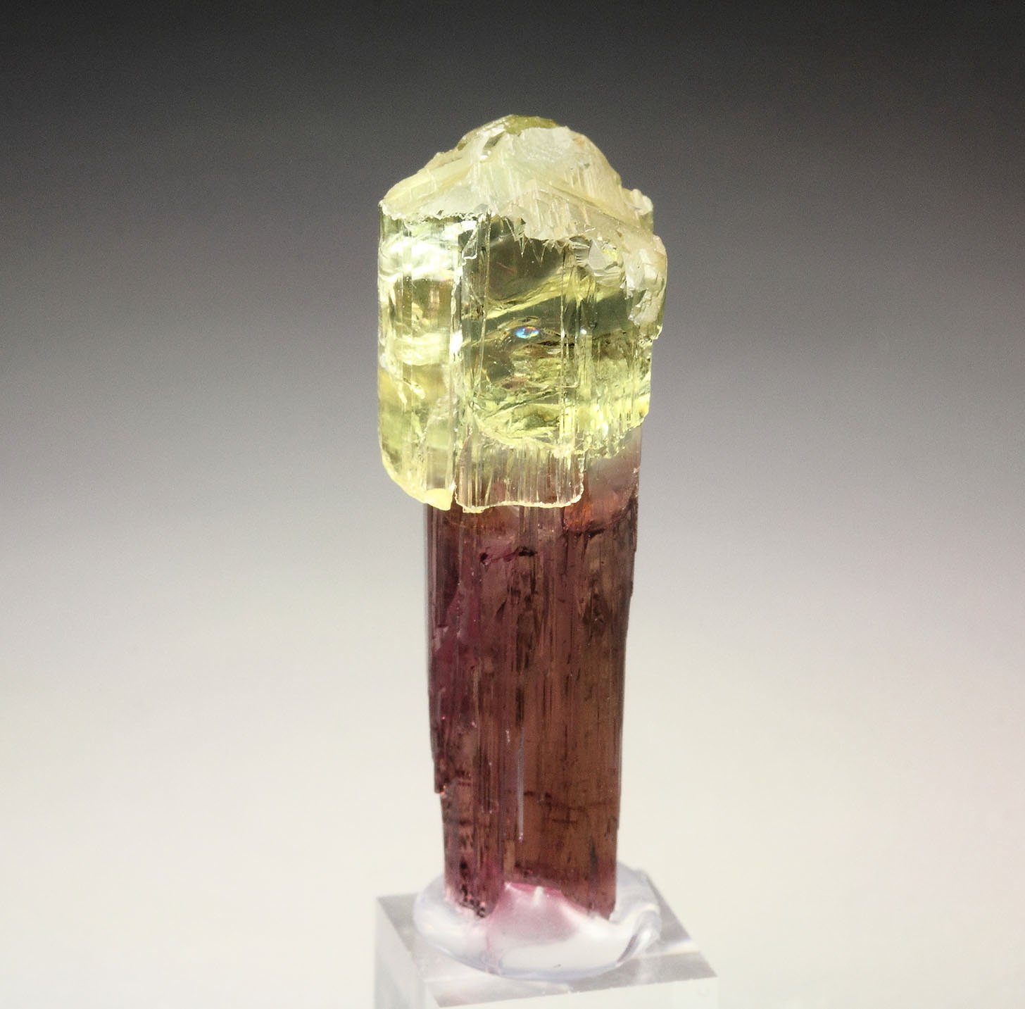 scepter TOURMALINE var. ELBAITE