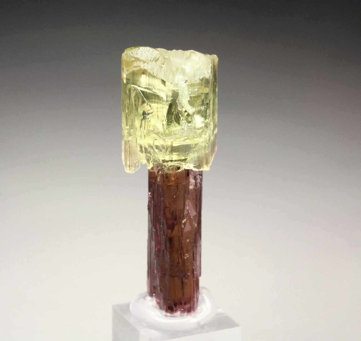 scepter TOURMALINE var. ELBAITE