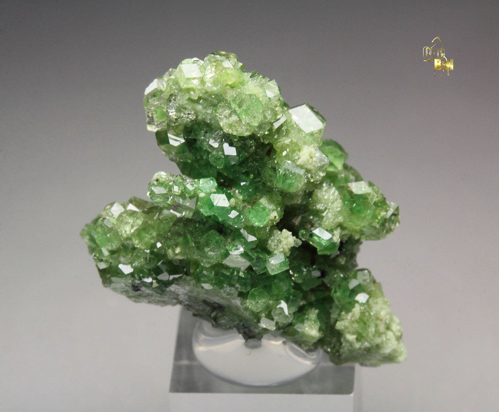 gem GARNET var. GROSSULAR with GREEN CHROMIAN PHANTOMS