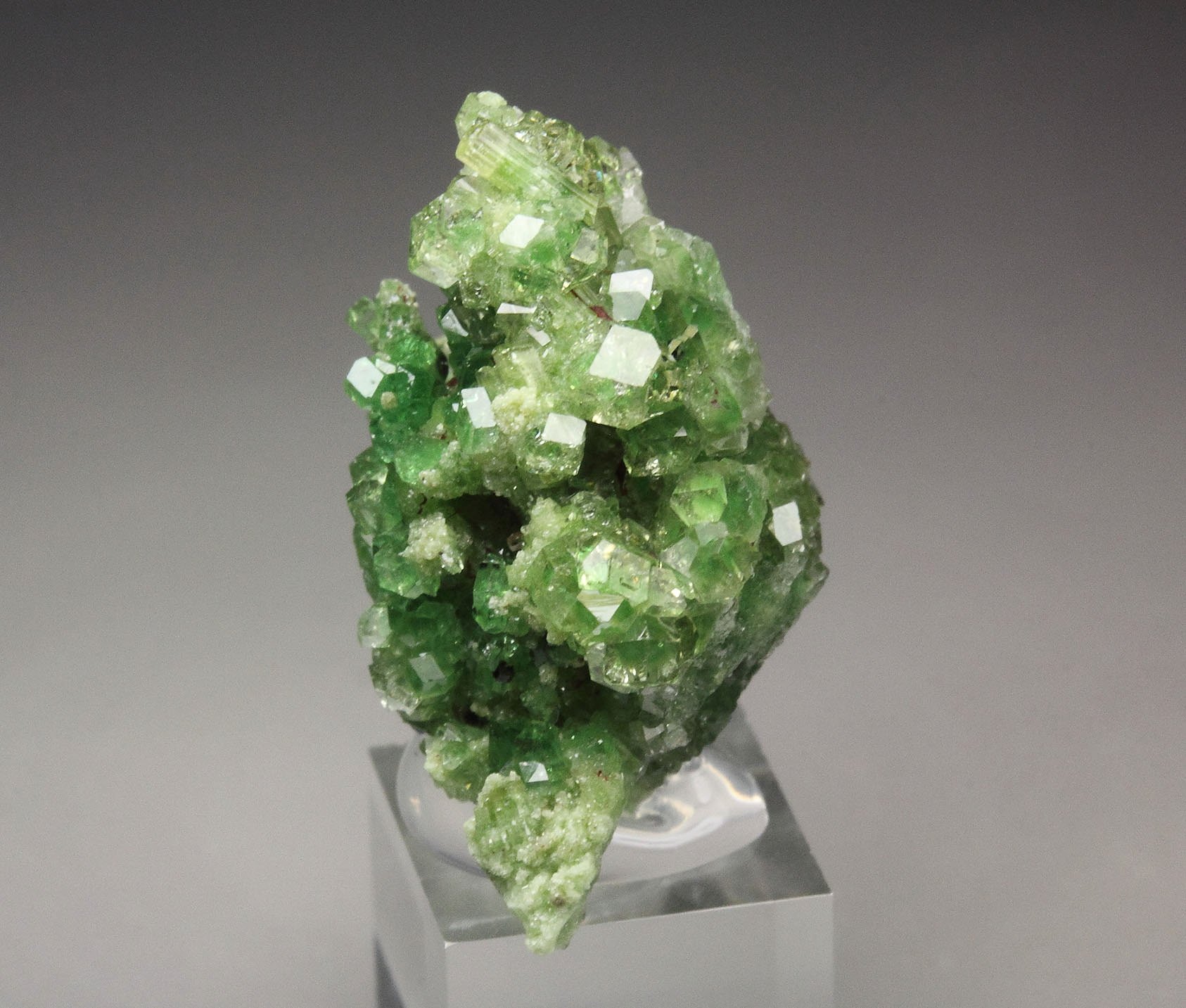 gem GARNET var. GROSSULAR with GREEN CHROMIAN PHANTOMS