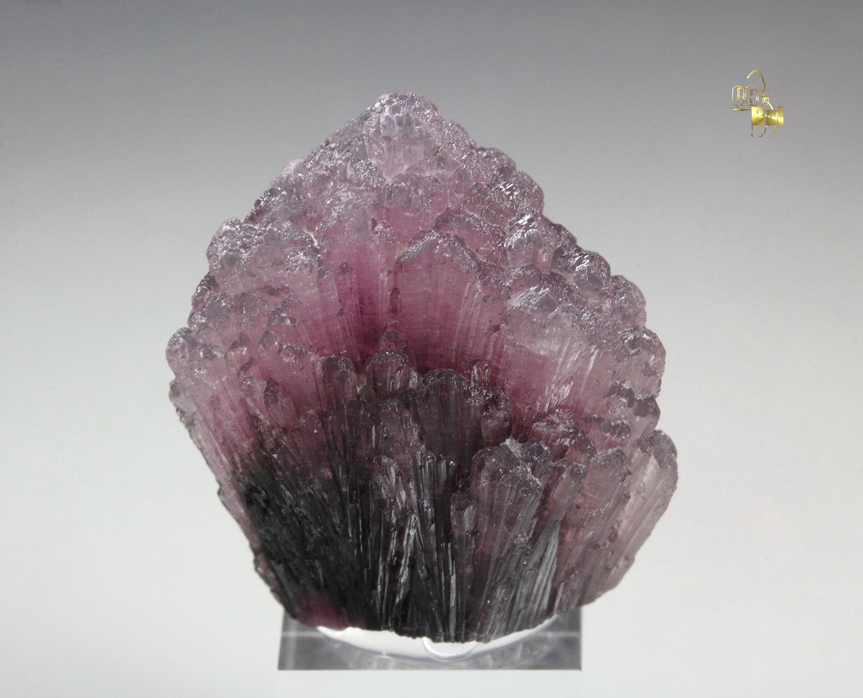 TOURMALINE var. RUBELLITE