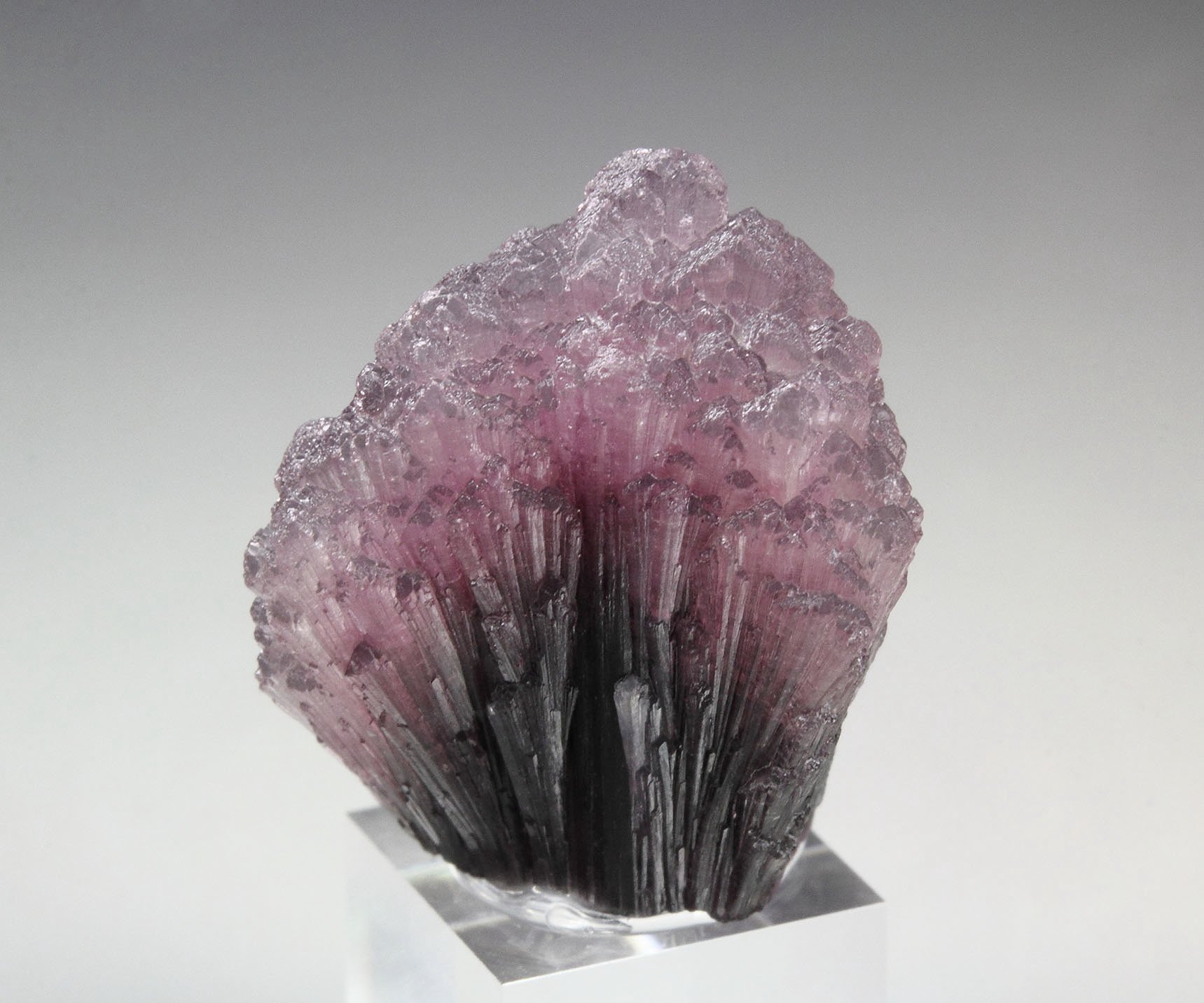 TOURMALINE var. RUBELLITE