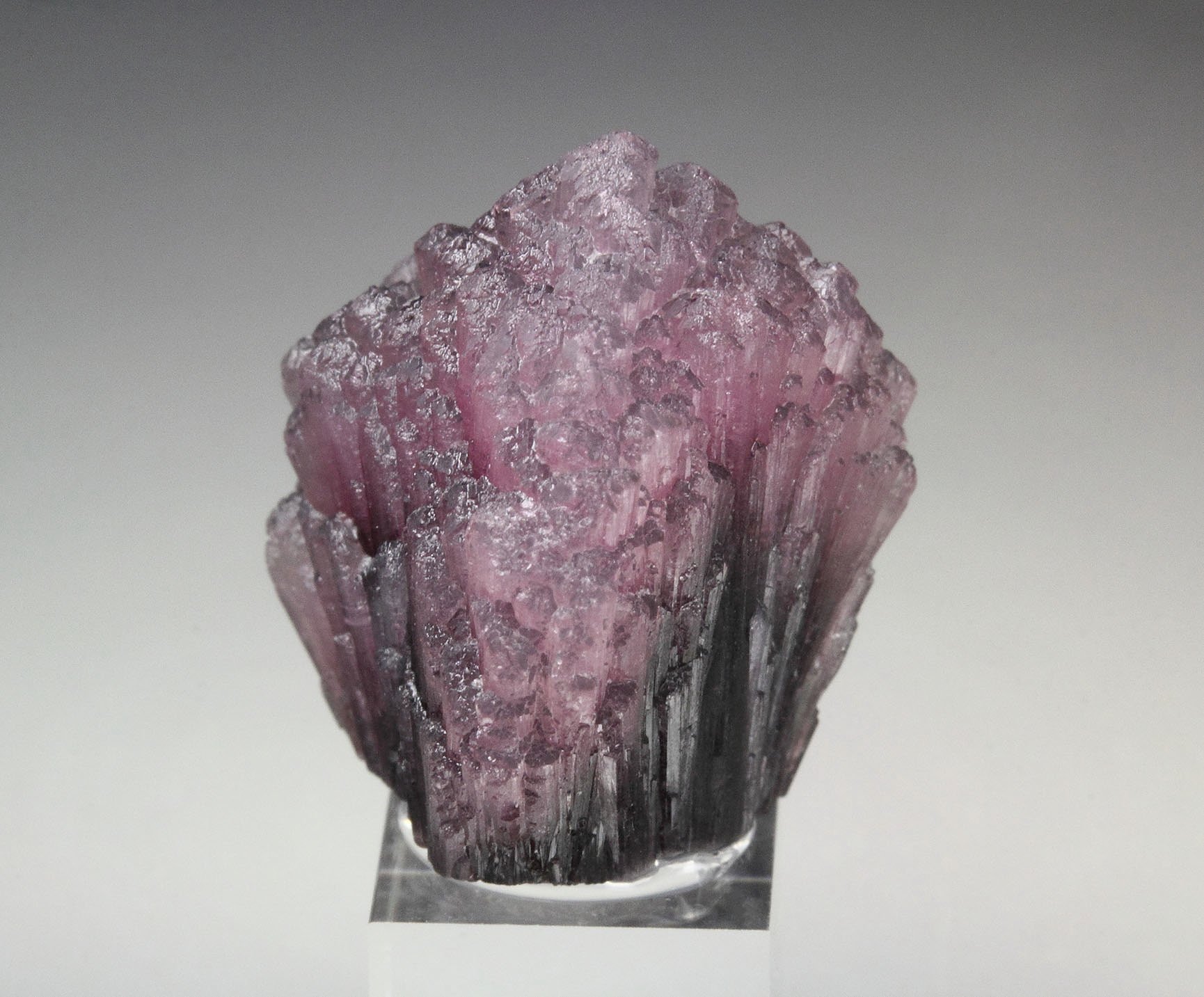 TOURMALINE var. RUBELLITE