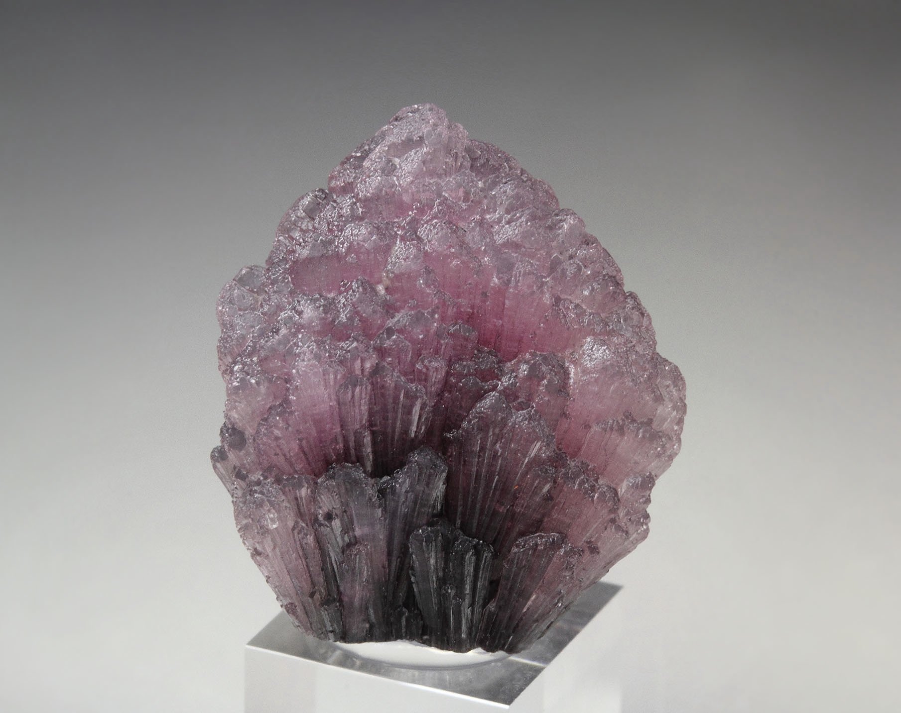 TOURMALINE var. RUBELLITE