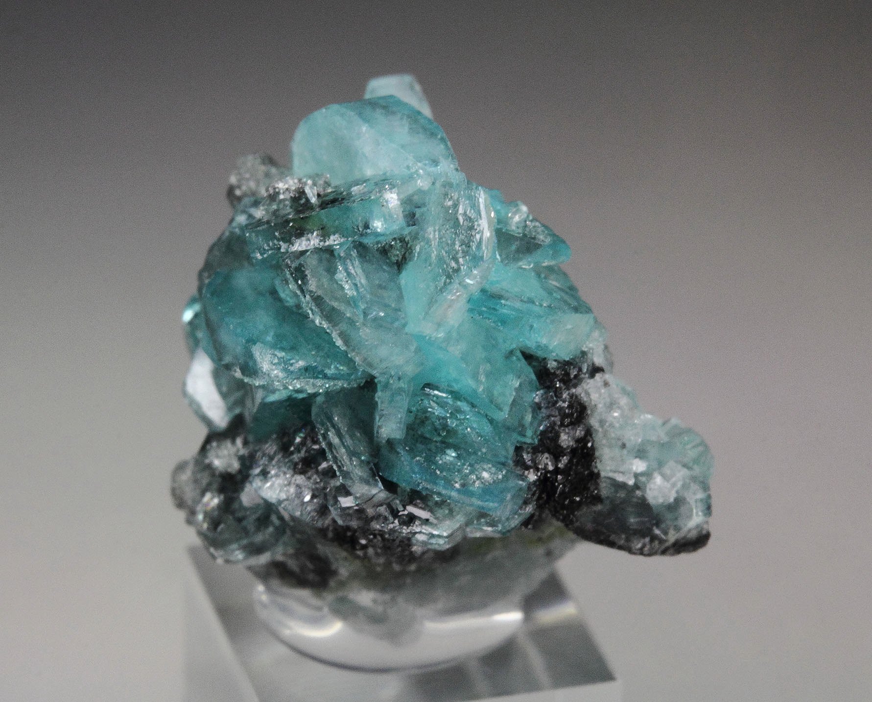 new find - gem BORCARITE