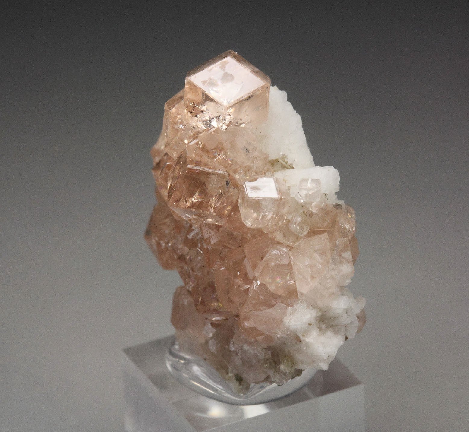 gem GARNET var. GROSSULAR