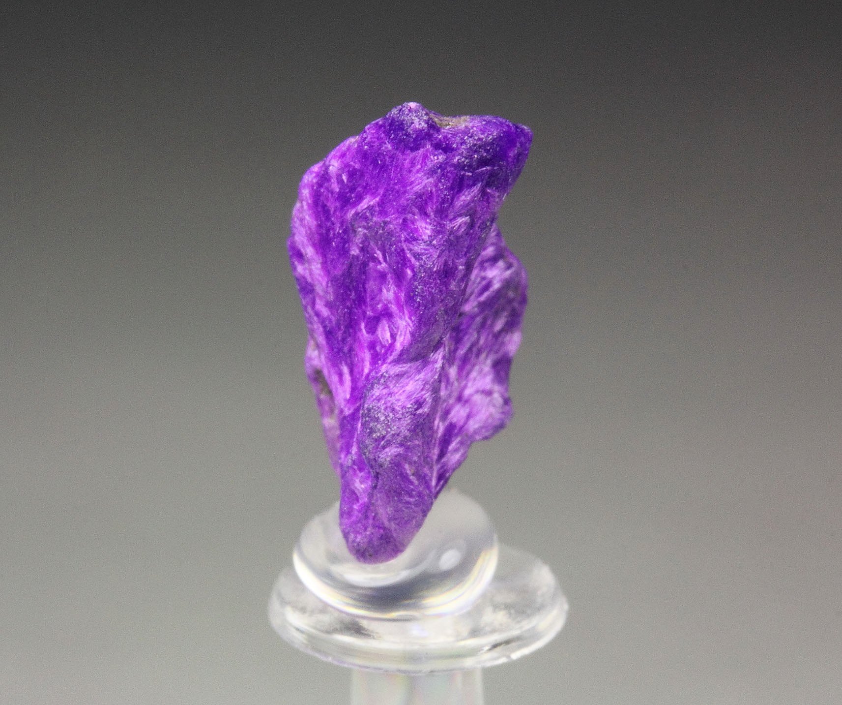 crystallized SUGILITE