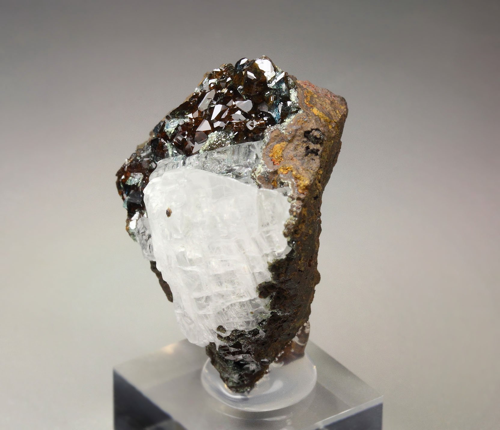 gem SCORODITE, GYPSUM var. SELENITE