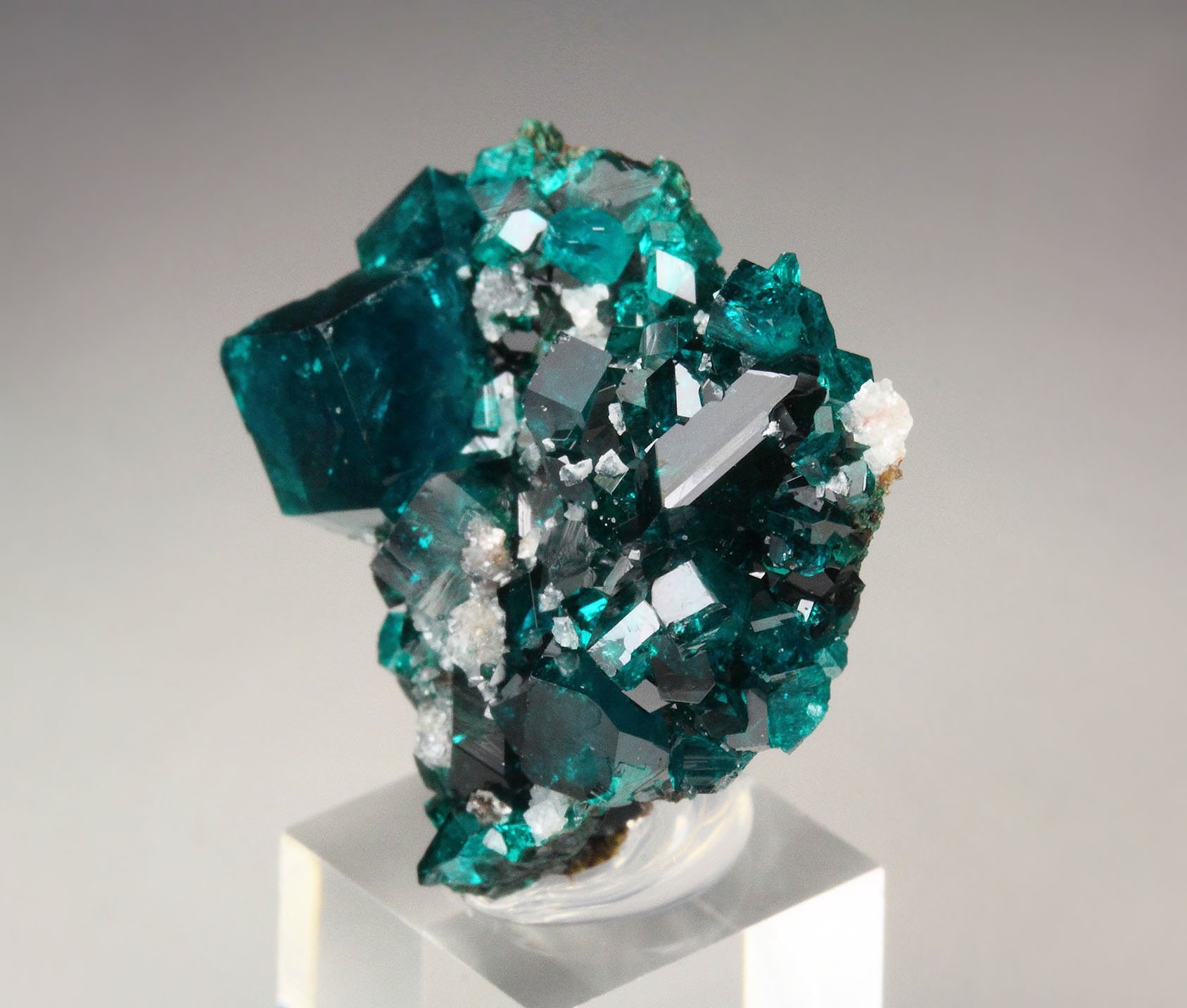 gemmy DIOPTASE, CALCITE