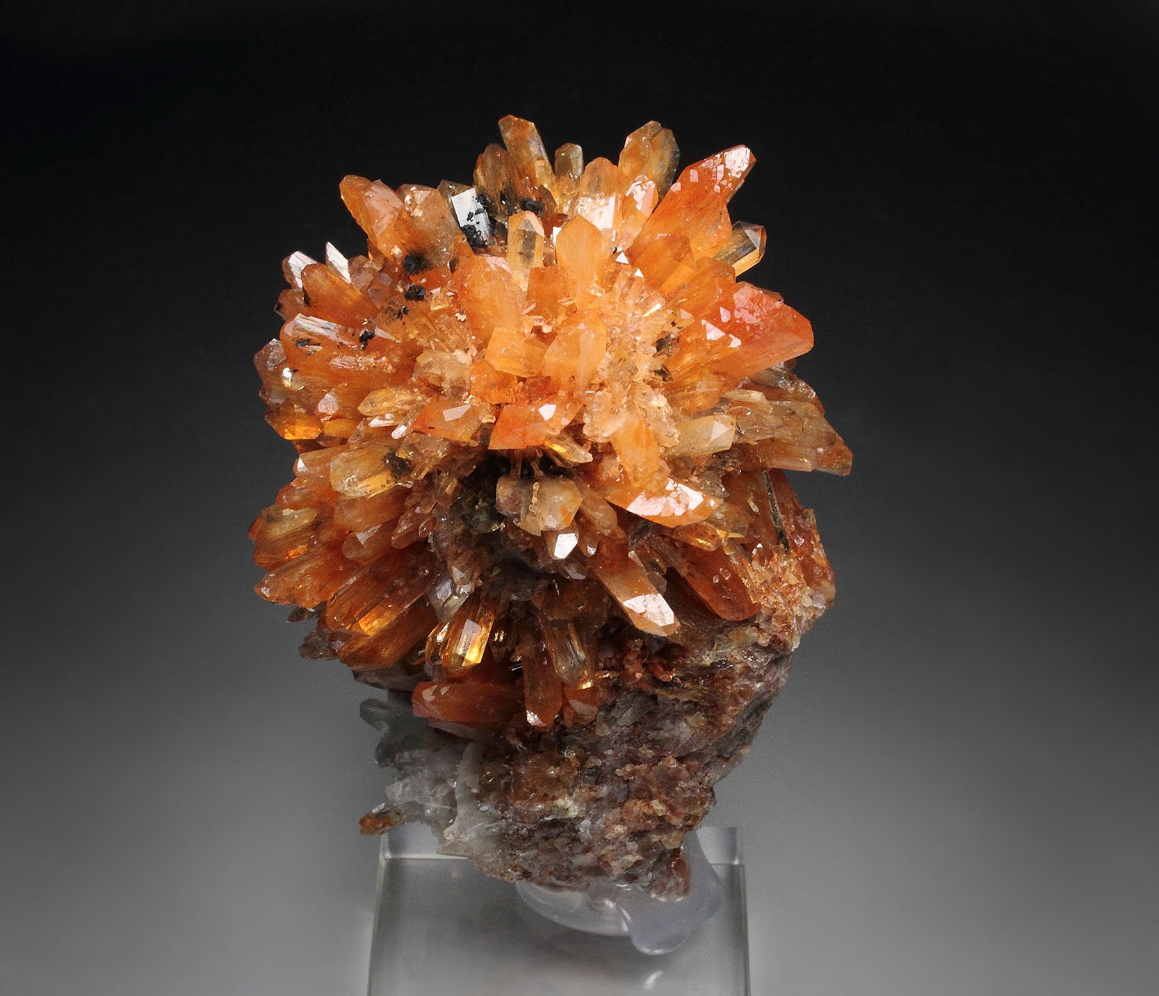 CREEDITE