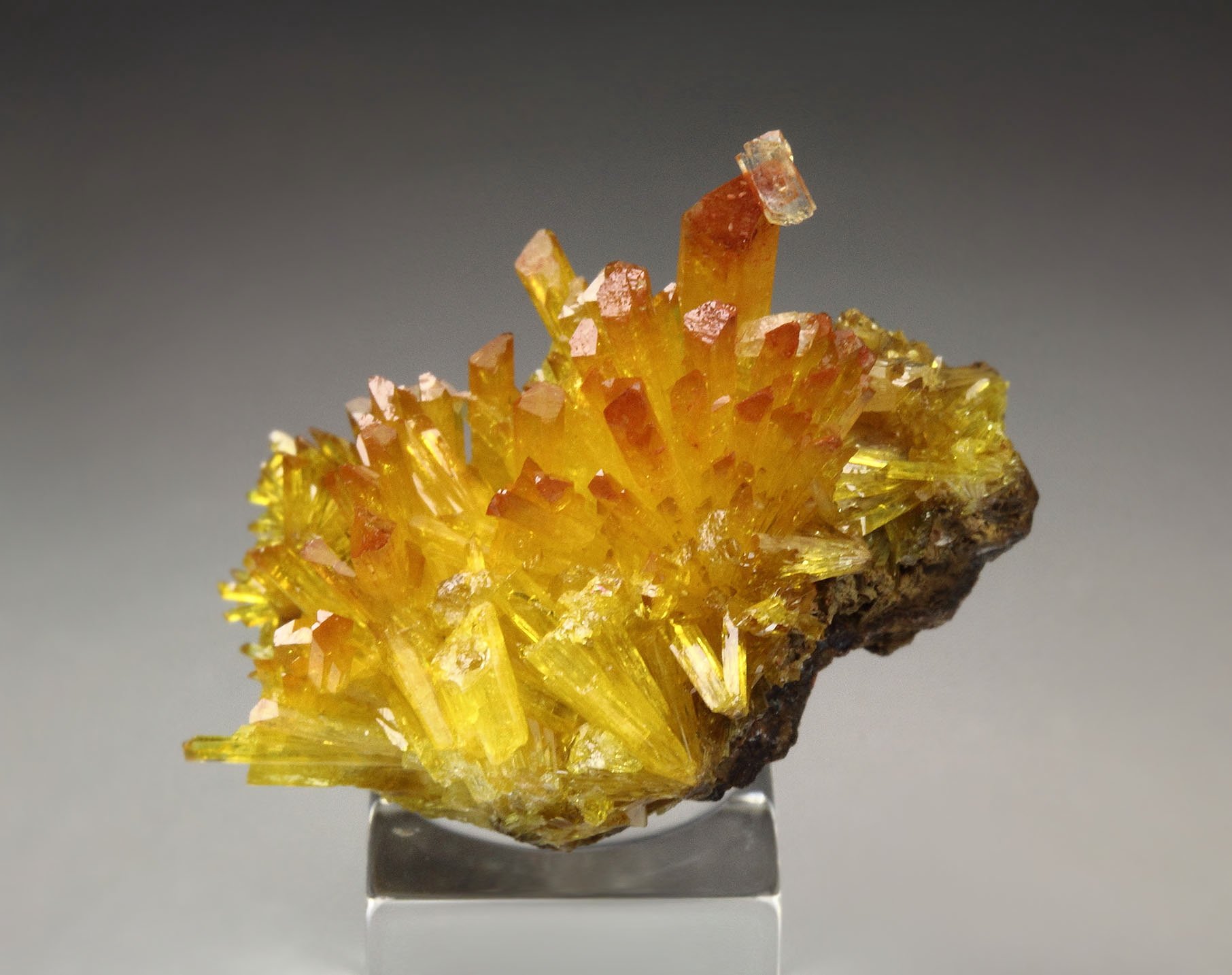 gemmy LEGRANDITE