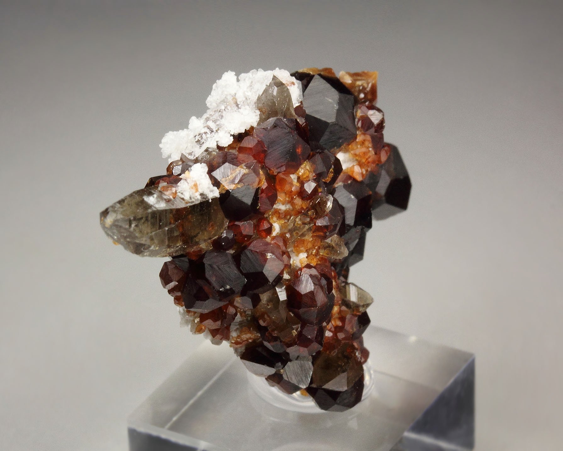 gemmy GARNET var. SPESSARTINE, QUARTZ var. SMOKY