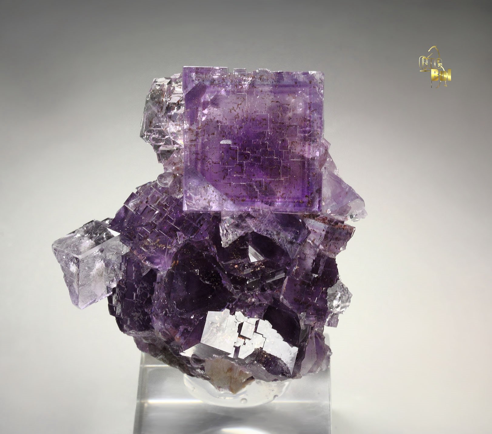 FLUORITE with PHANTOMS