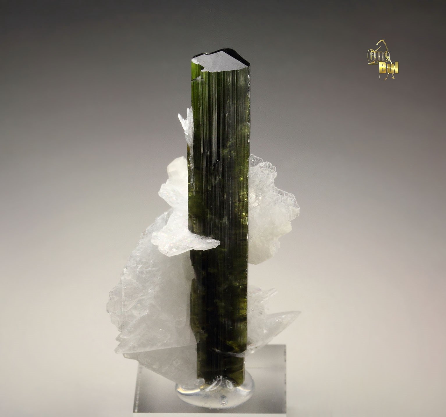 gem TOURMALINE var. ELBAITE, ALBITE, MUSCOVITE