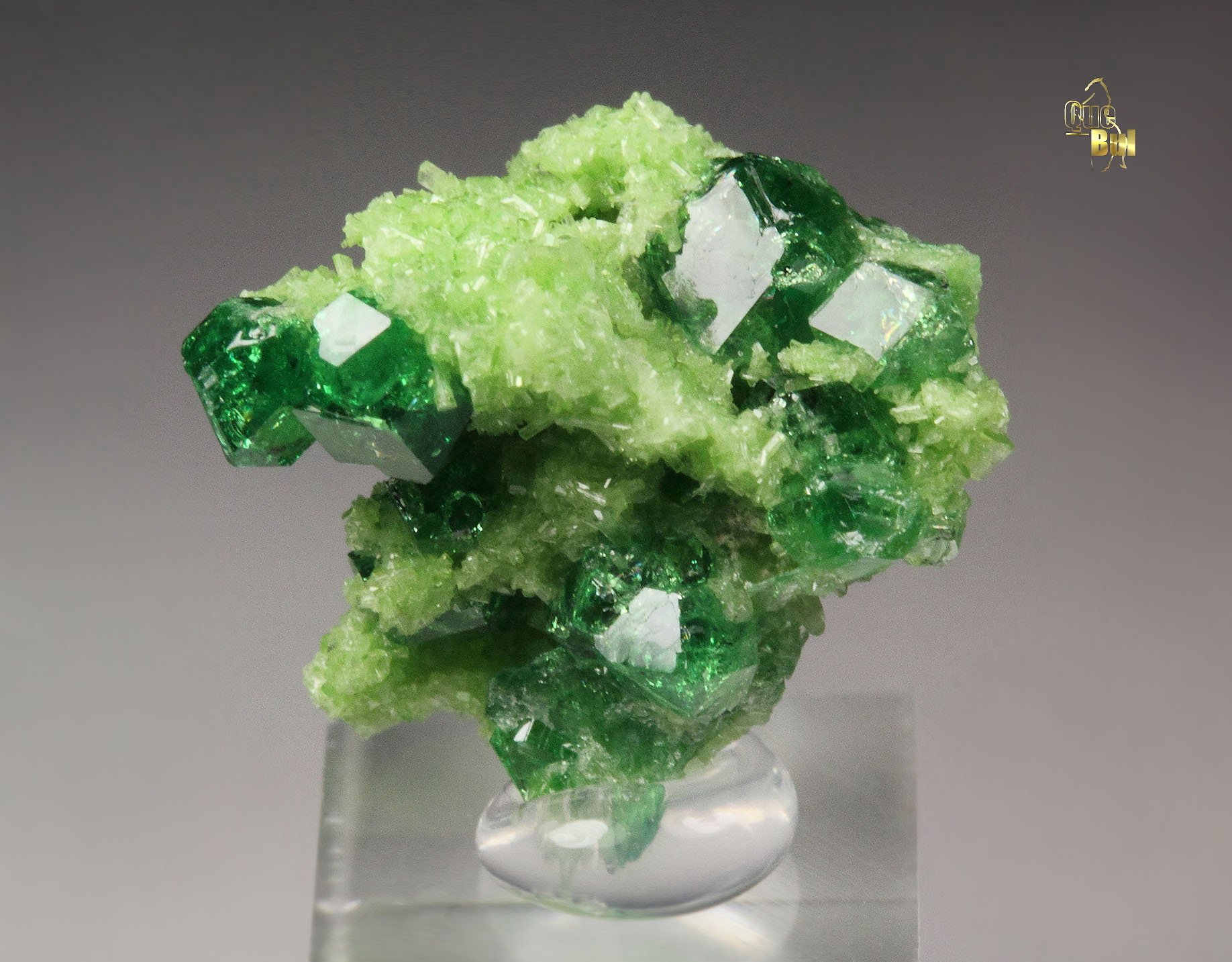 gem GARNET var. GROSSULAR var. CHROMIAN, DIOPSIDE