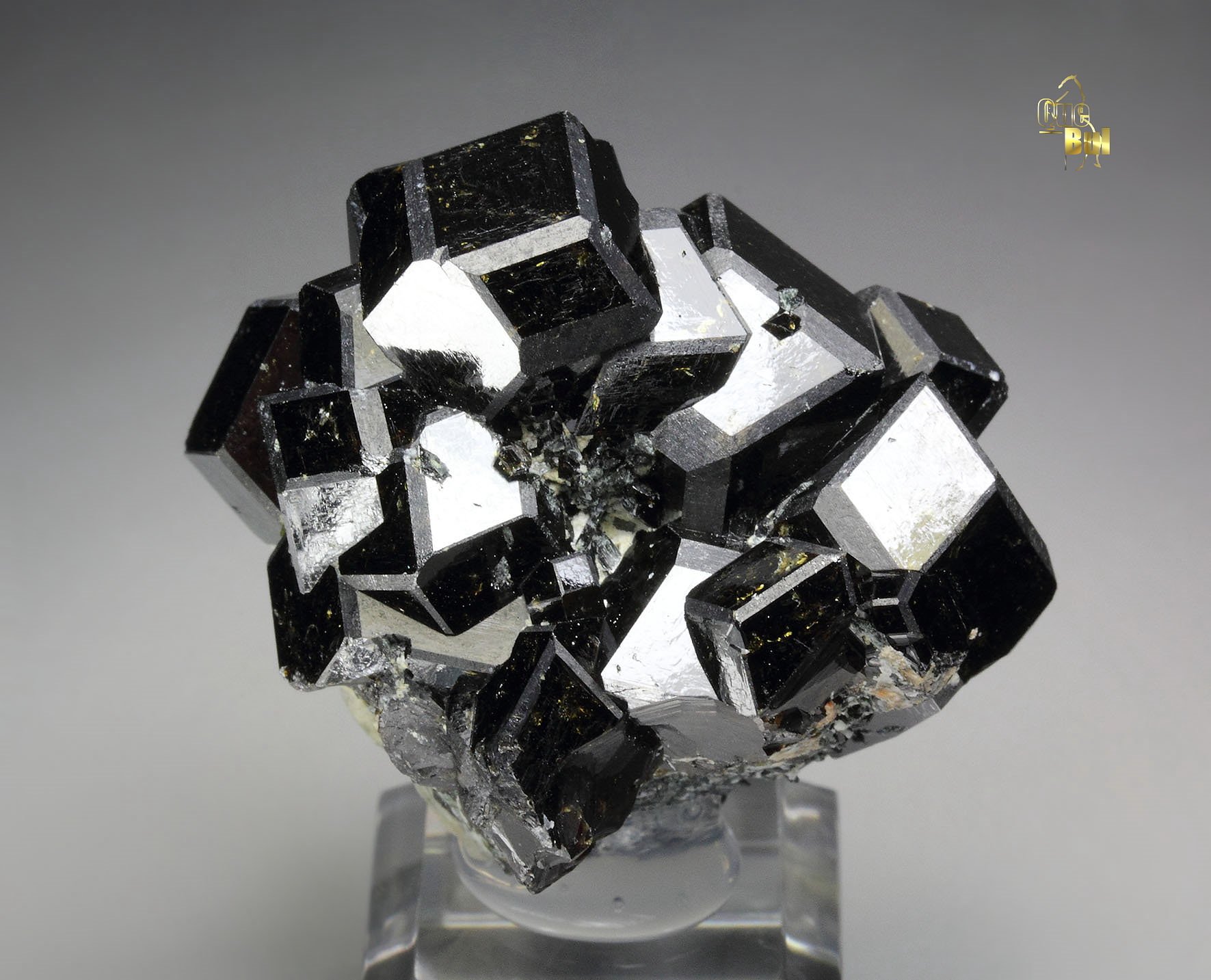 GARNET var. ANDRADITE var. MELANITE, PARGASITE