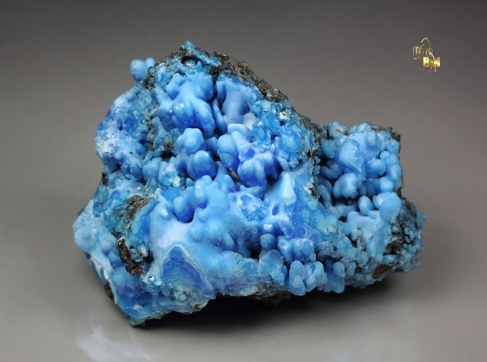 EVANSITE