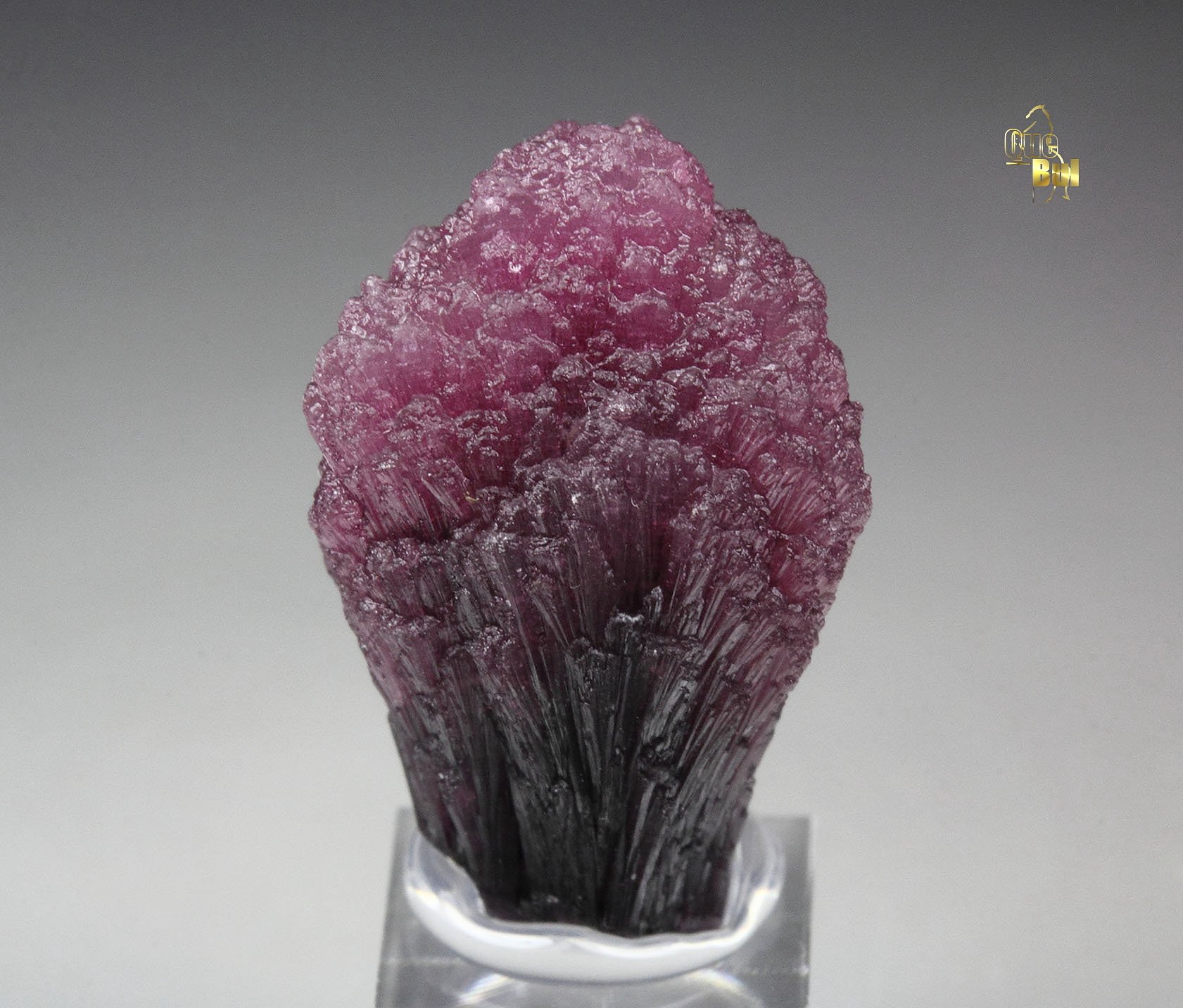 TOURMALINE var. RUBELLITE