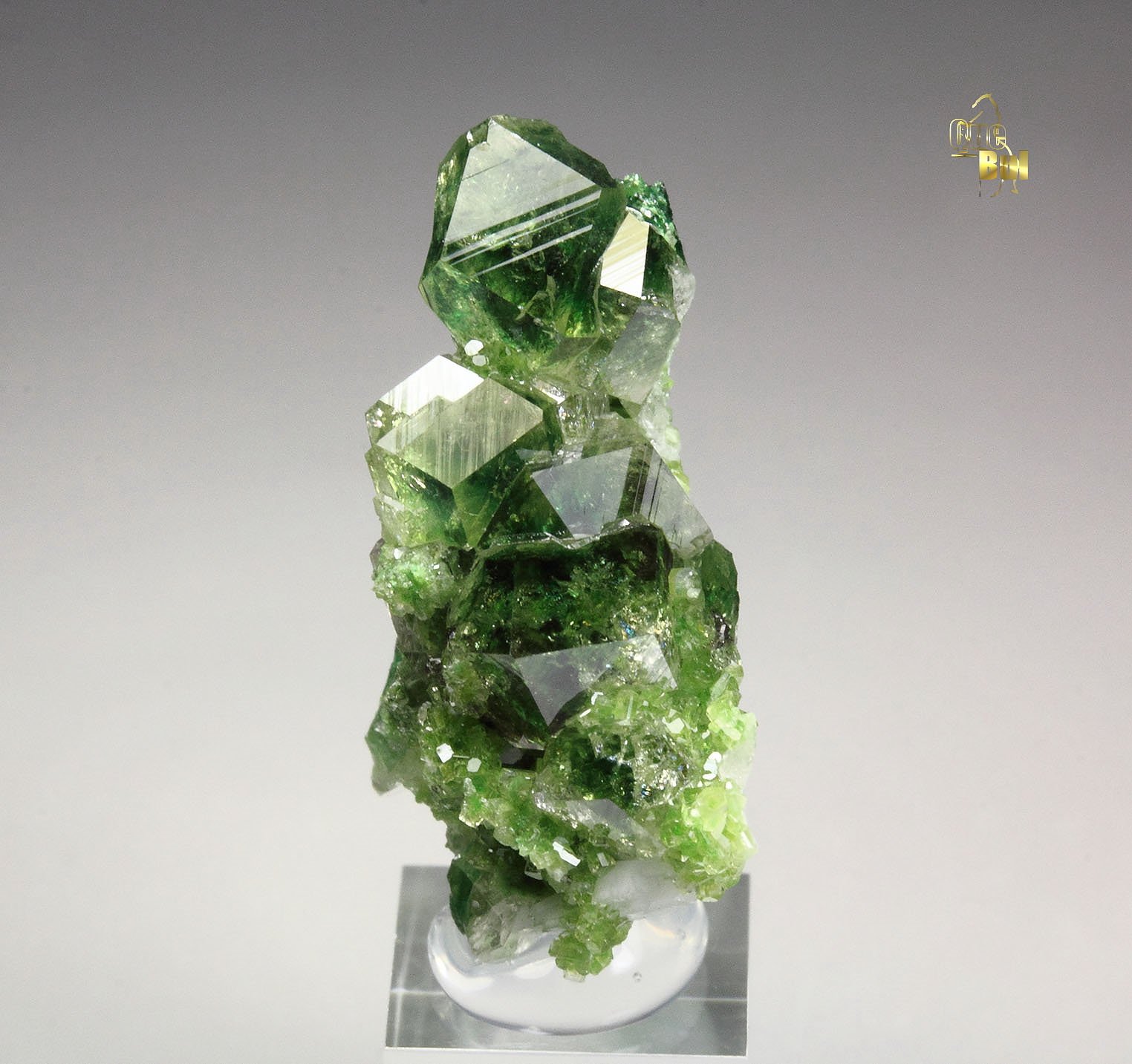 gem GARNET var. GROSSULAR with GREEN CHROMIAN PHANTOMS, DIOPSIDE