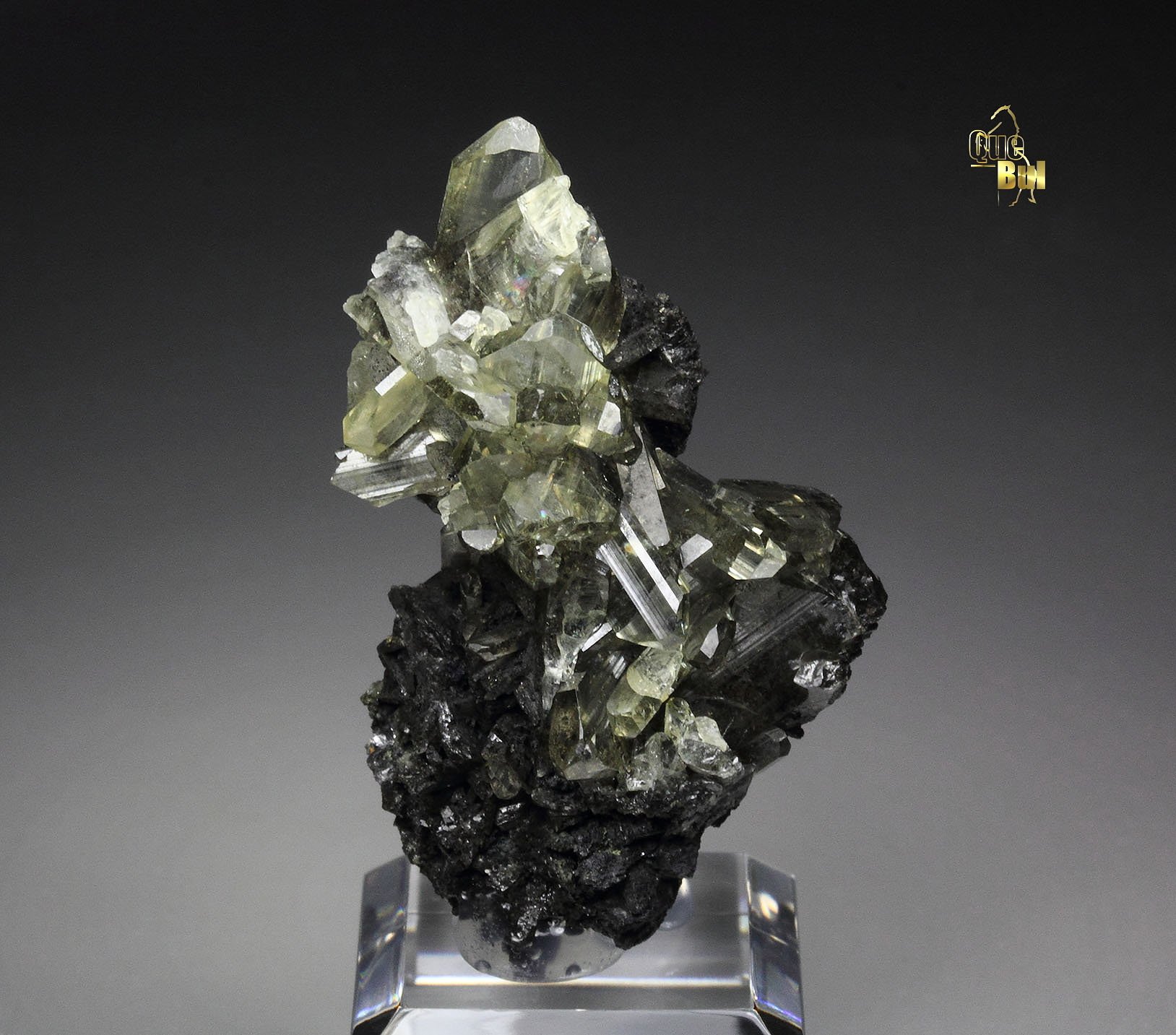 gem ANGLESITE, GALENA
