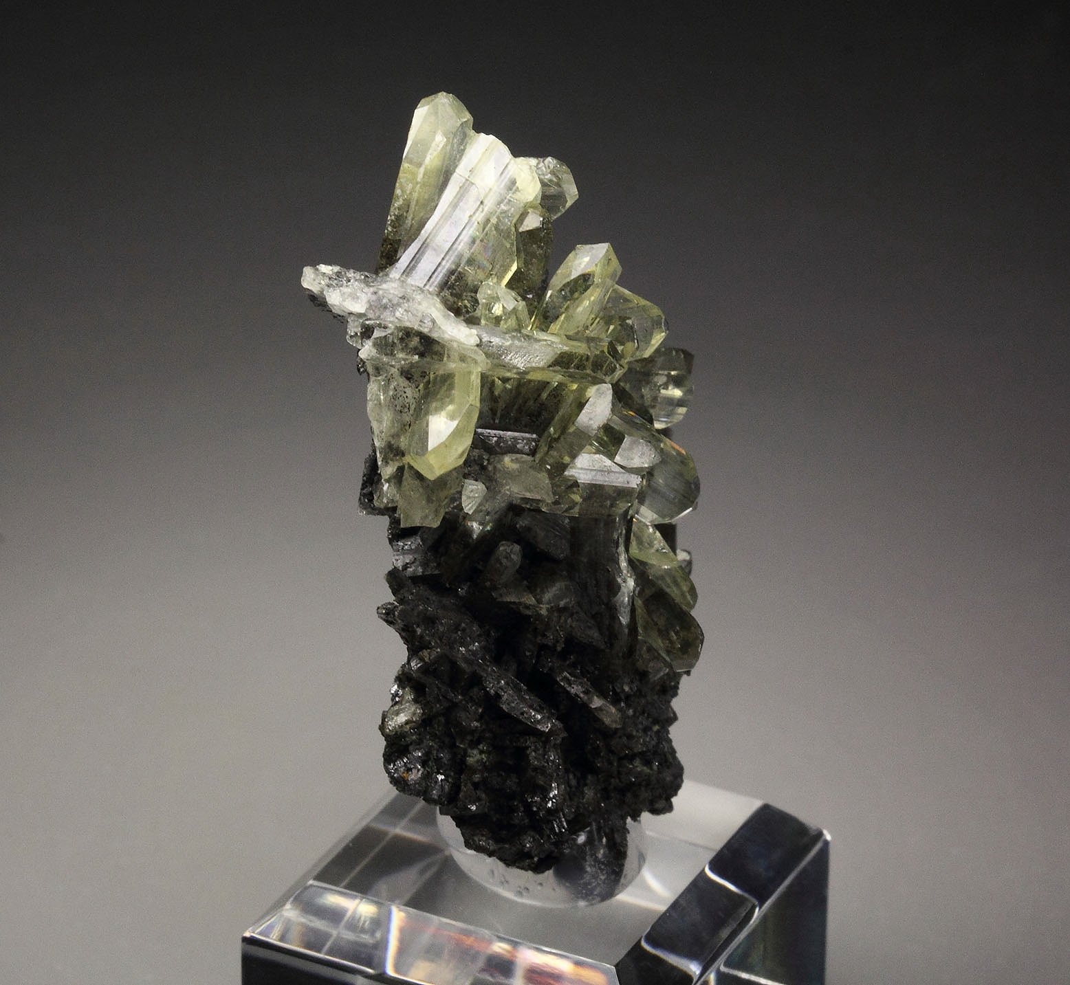 gem ANGLESITE, GALENA