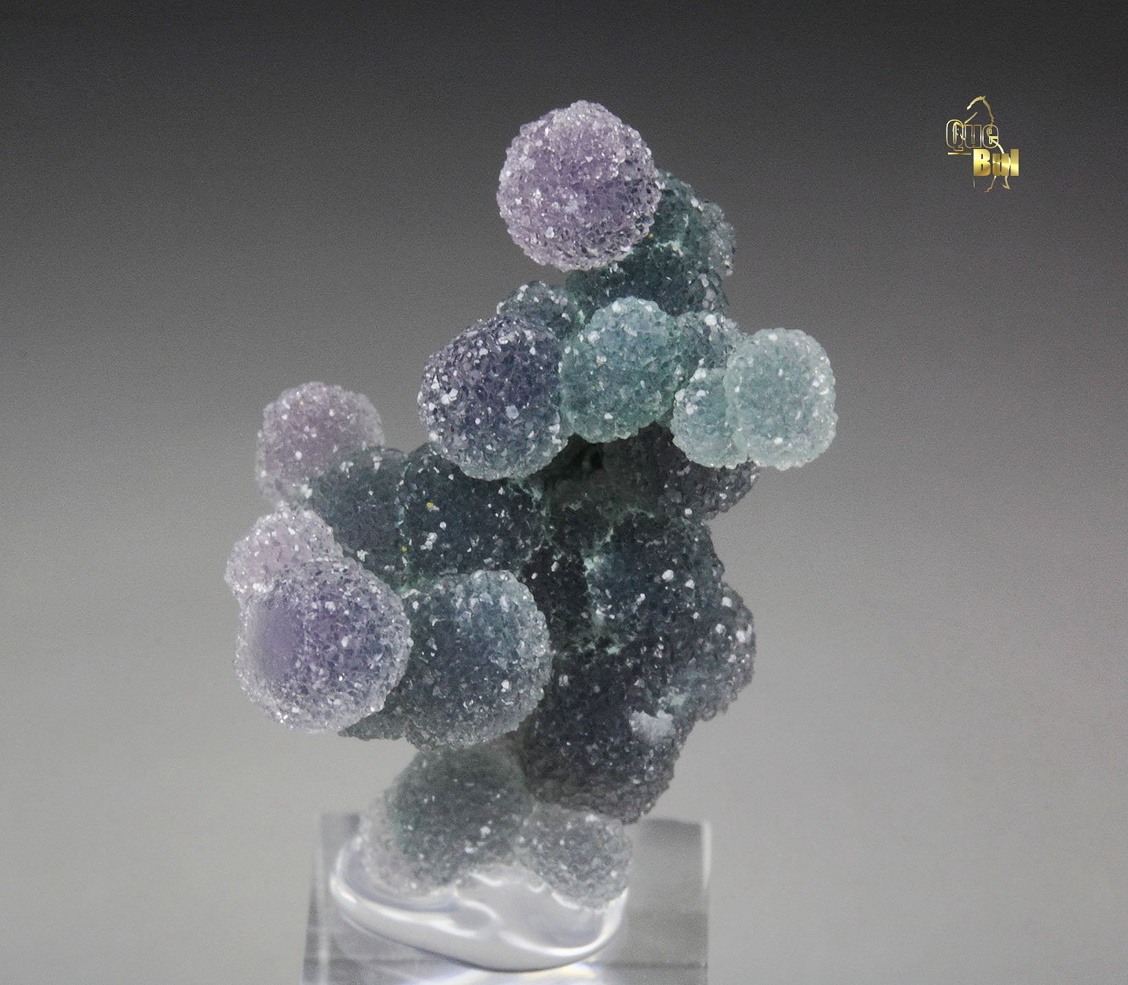 QUARTZ var. AMETHYST - grape agate