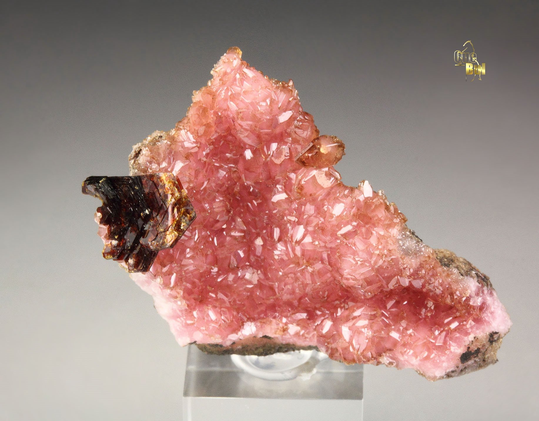 SHIGAITE, RHODOCHROSITE