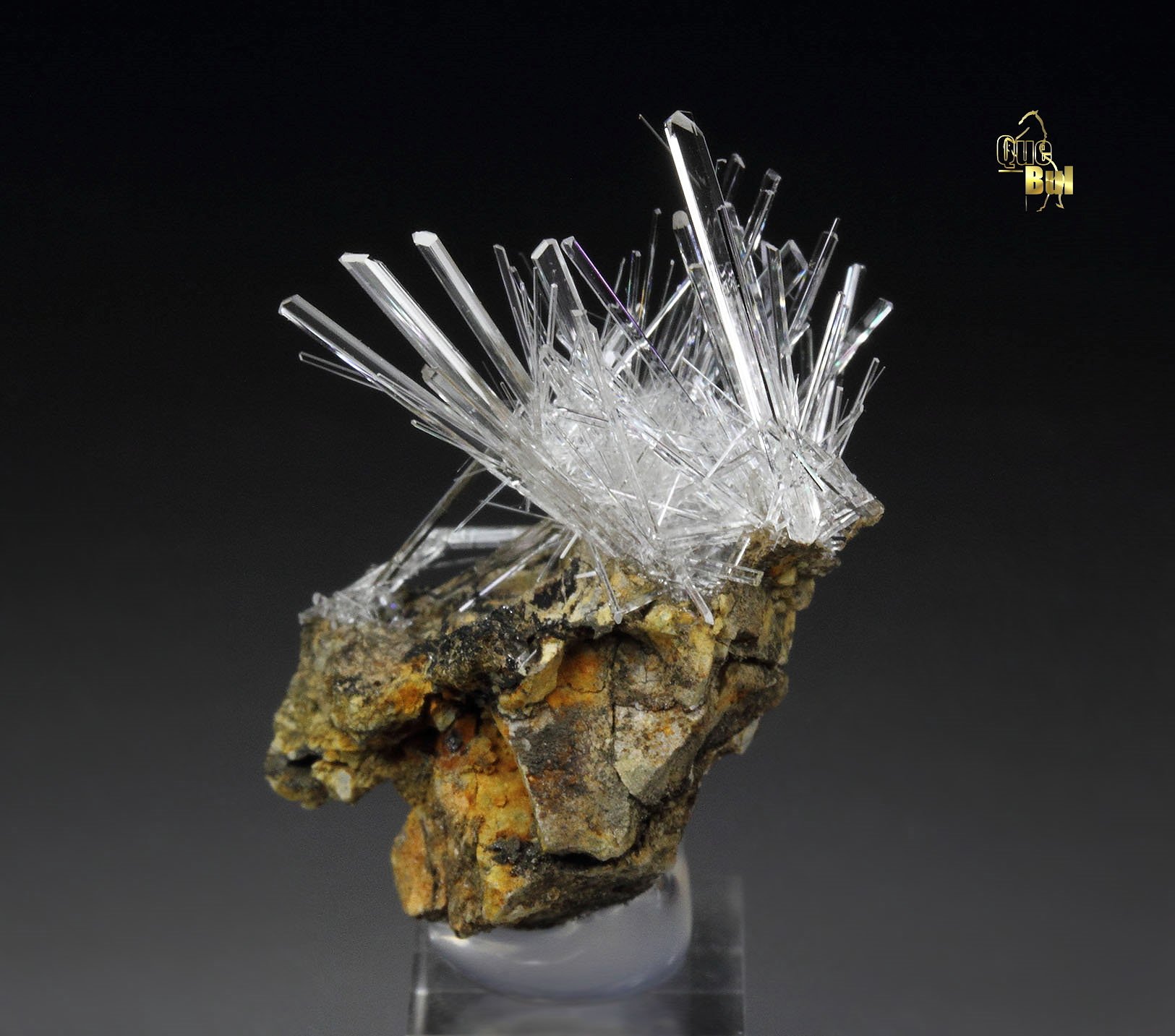 GYPSUM