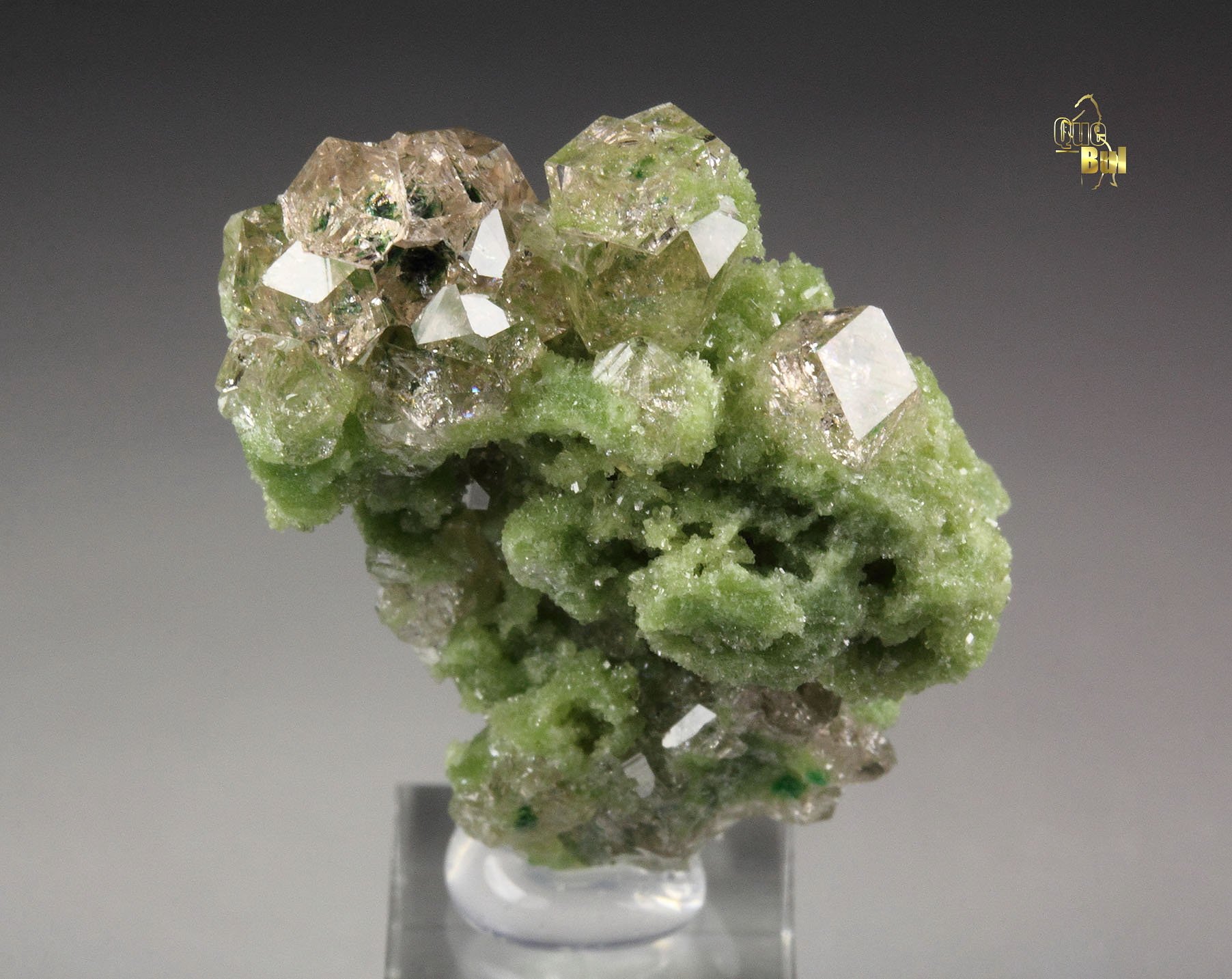 gem GARNET var. GROSSULAR with GREEN CHROMIAN PHANTOMS, DIOPSIDE