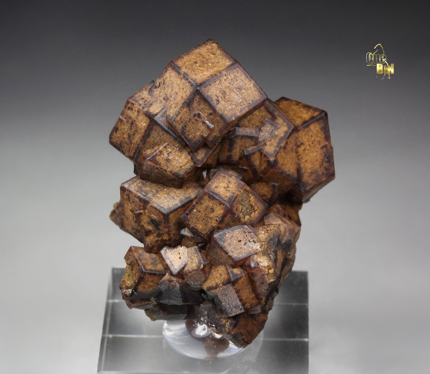 GARNET var. ANDRADITE