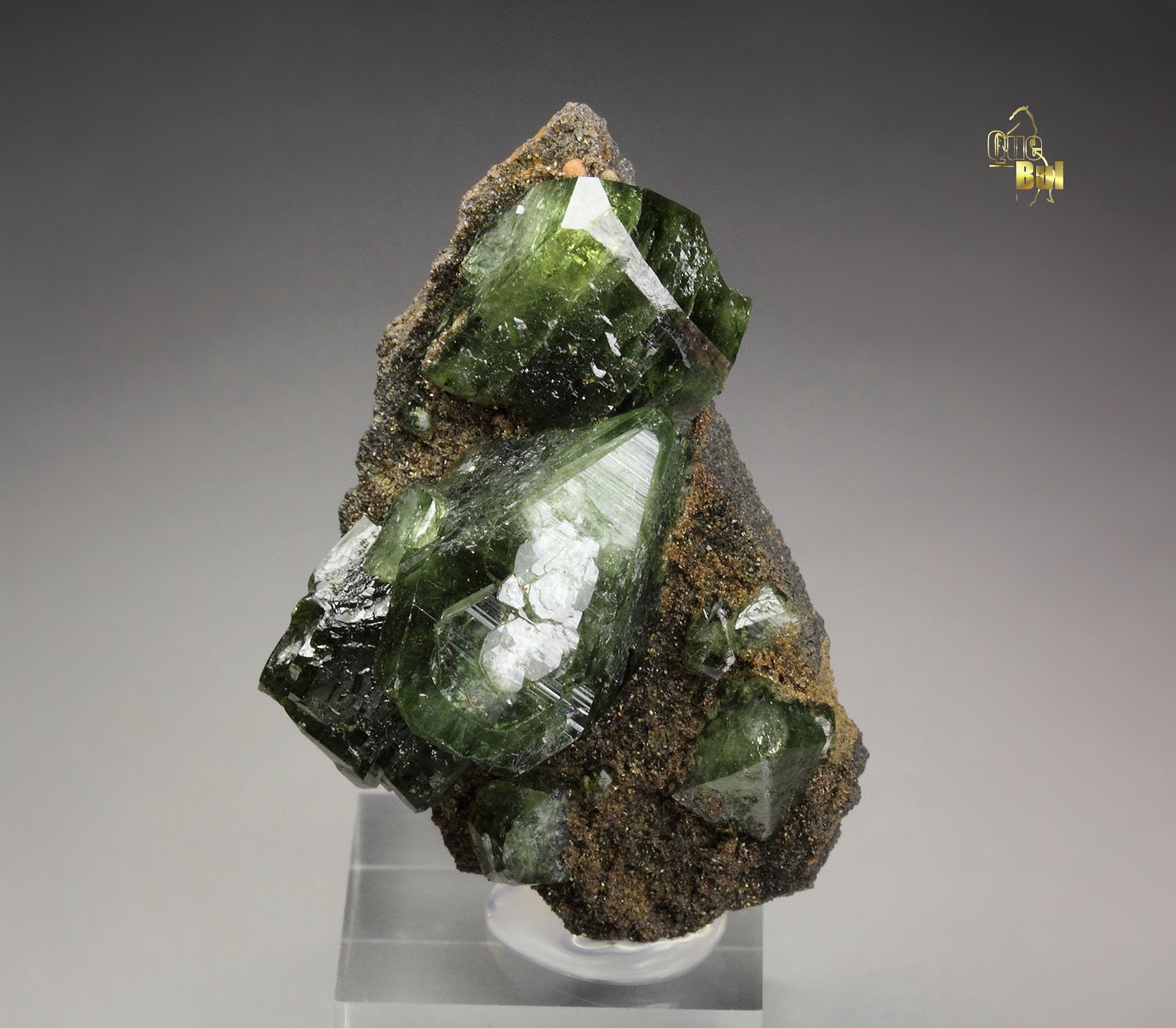 LUDLAMITE