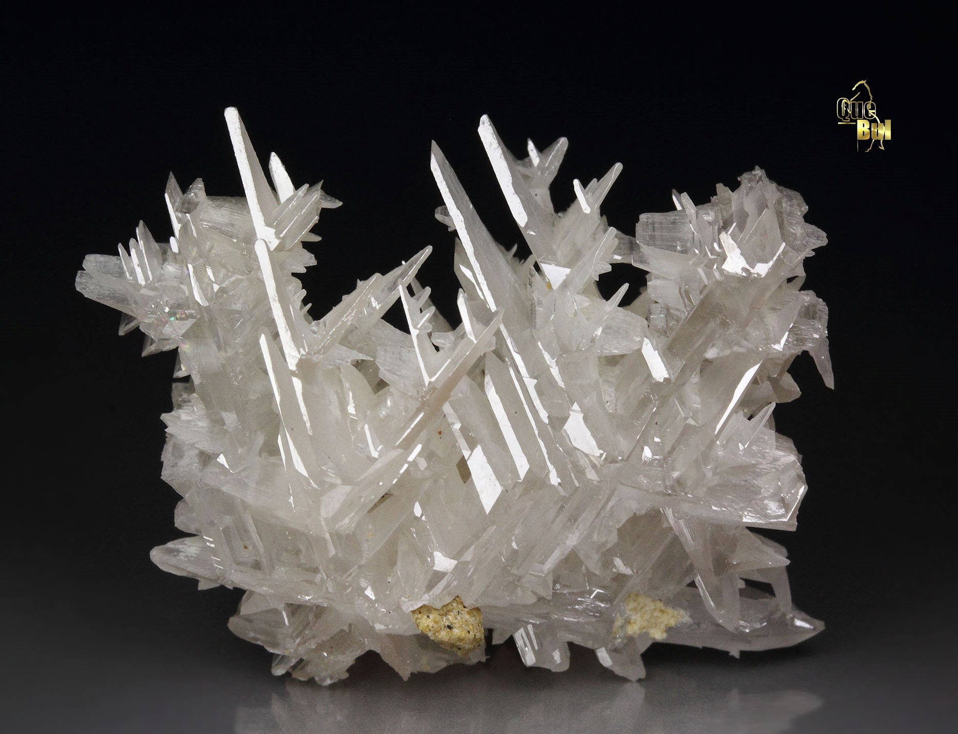 reticulated CERUSSITE