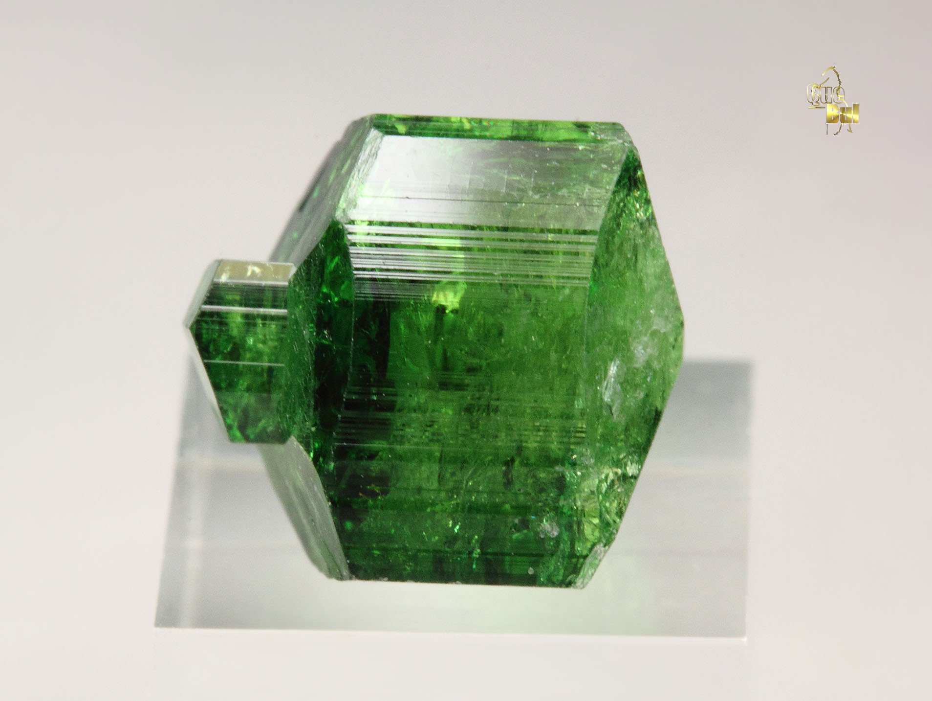 gem TOURMALINE var. CHROME TOURMALINE - floater