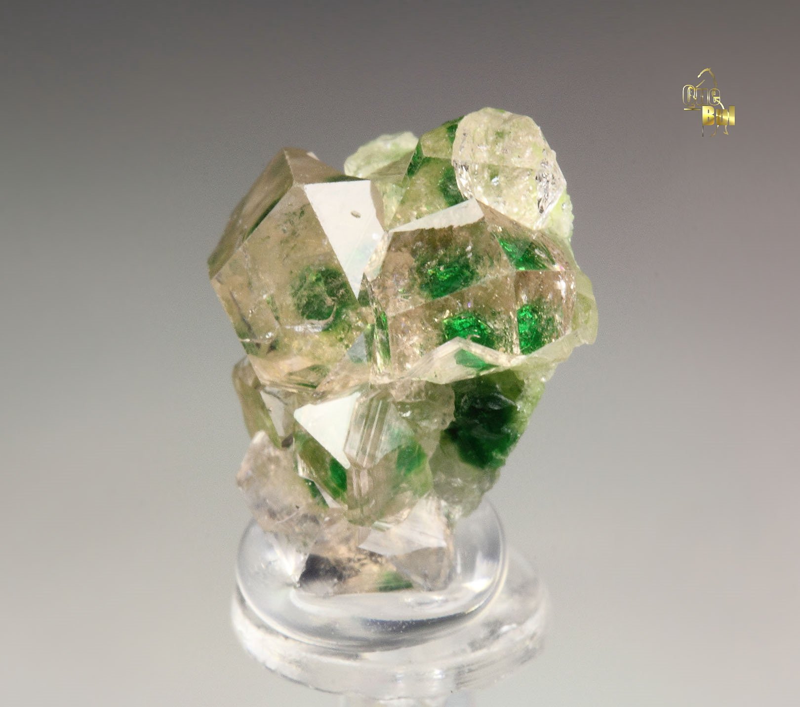 gem GARNET var. GROSSULAR with GREEN CHROMIAN PHANTOMS
