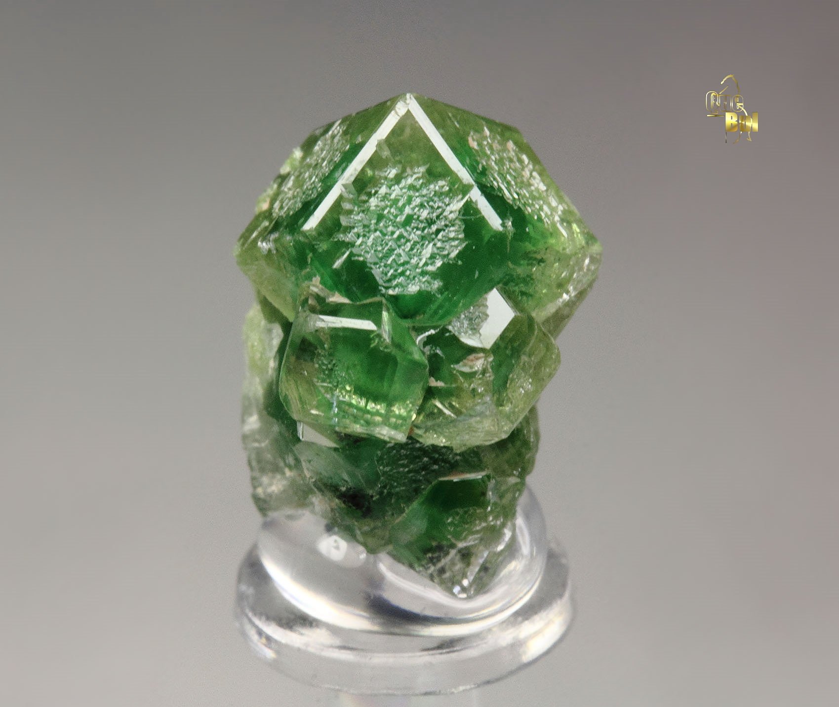 gem GARNET var. GROSSULAR with GREEN CHROMIAN PHANTOMS