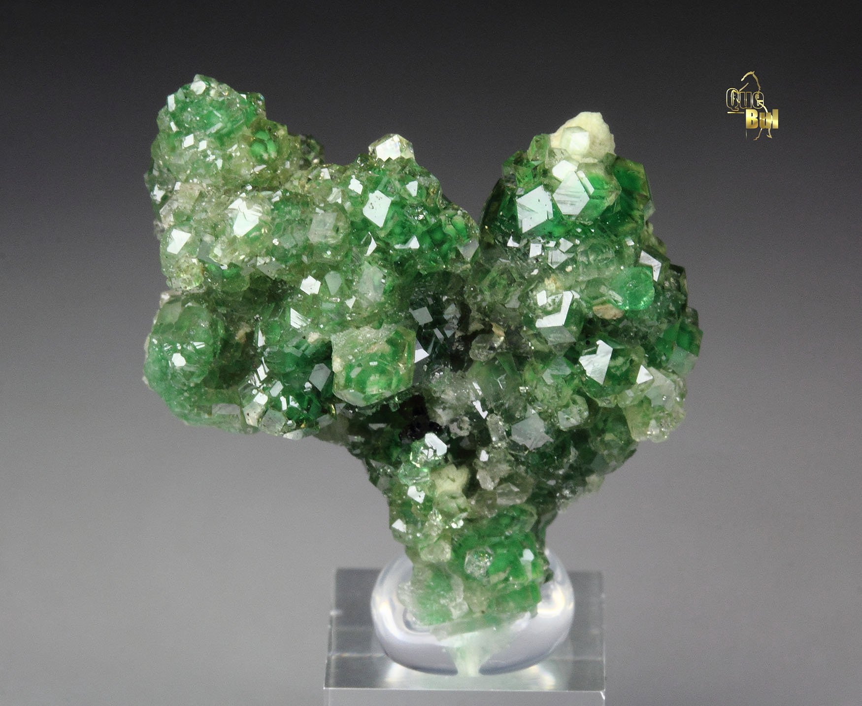 gem GARNET var. GROSSULAR with GREEN CHROMIAN PHANTOMS