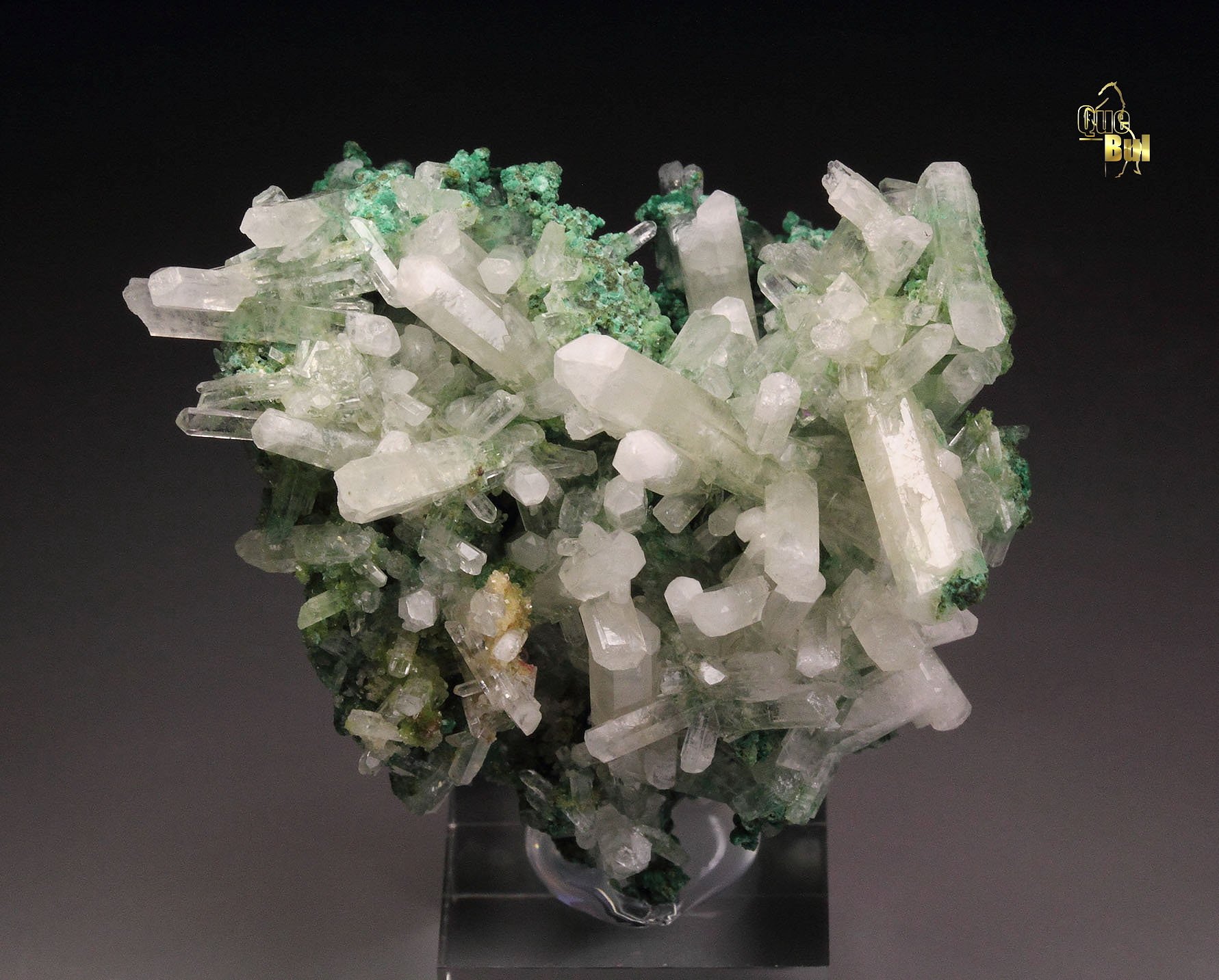 ARAGONITE var. LEAD-BEARING ARAGONITE (TARNOWIZITE), MALACHITE