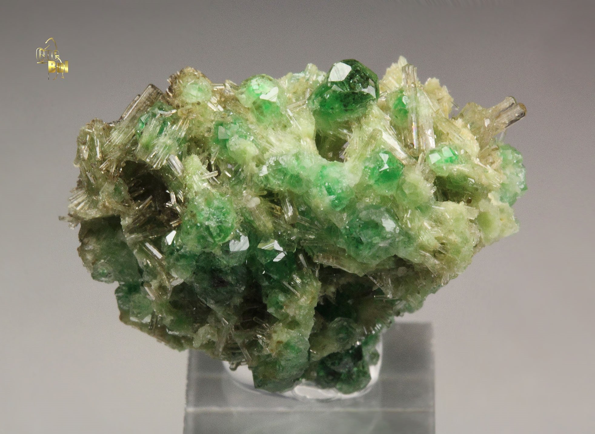 gem GARNET var. GROSSULAR with GREEN CHROMIAN PHANTOMS, DIOPSIDE