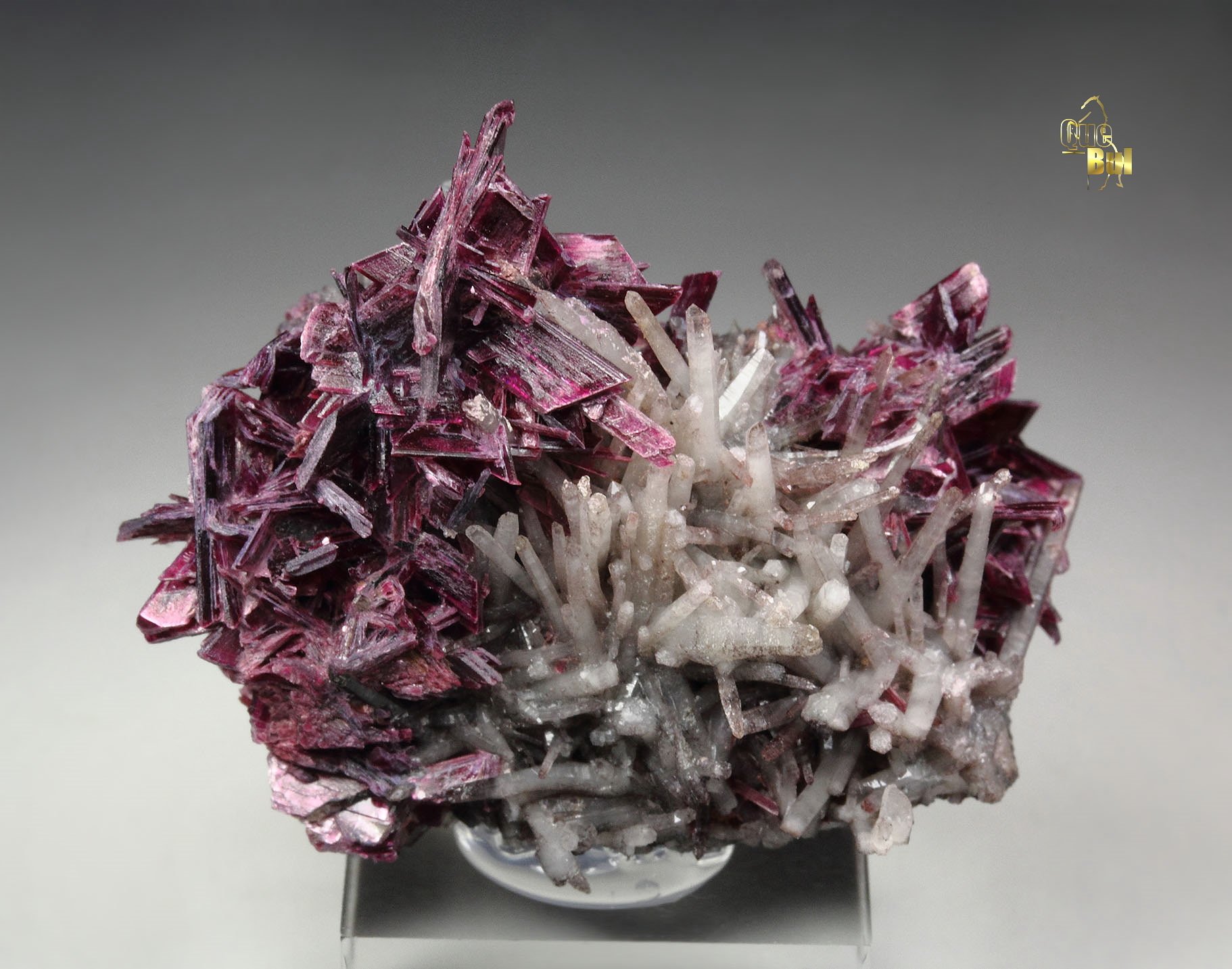 ERYTHRITE, QUARTZ 