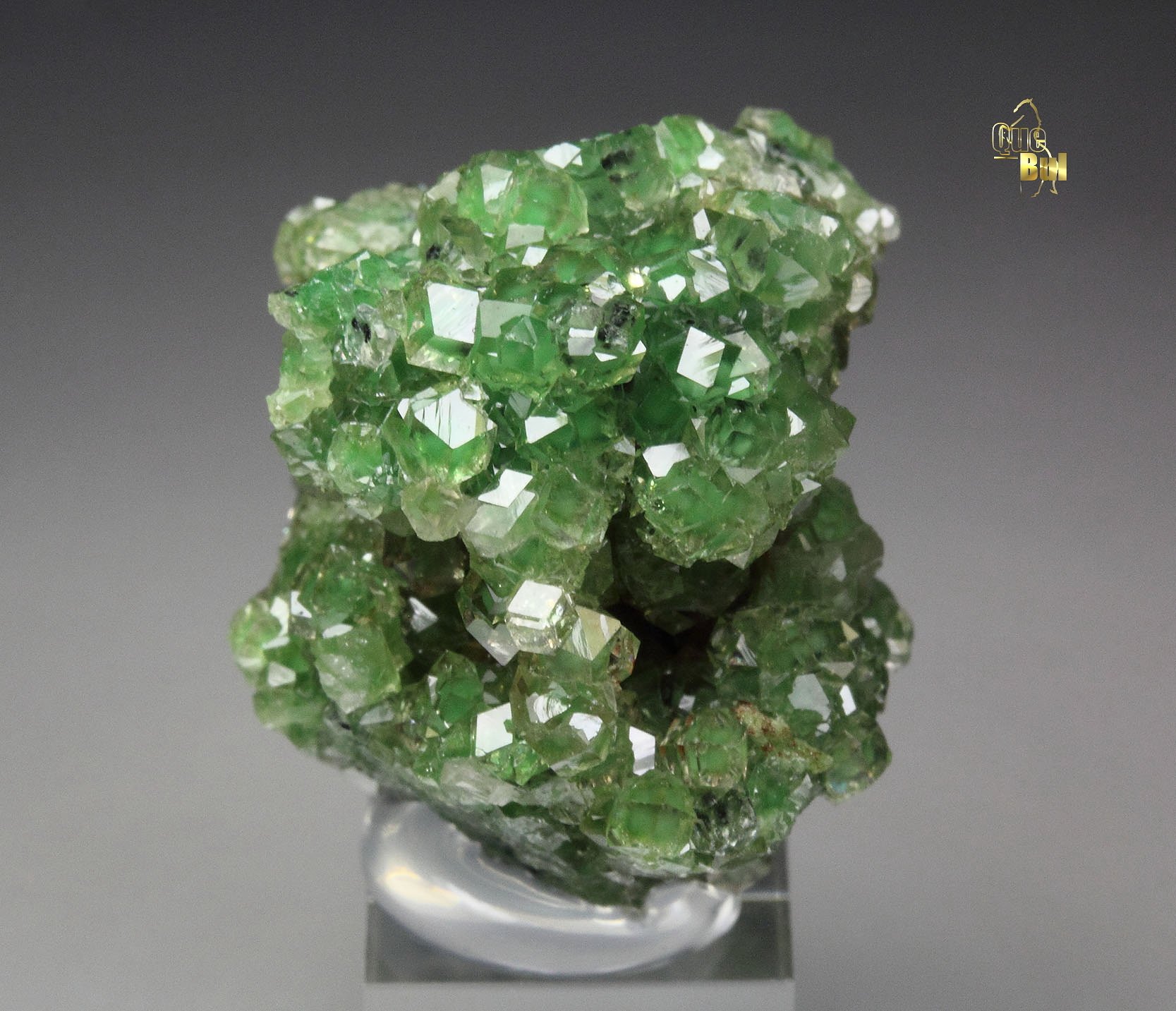 gem GARNET var. GROSSULAR with GREEN CHROMIAN PHANTOMS, CHROMITE