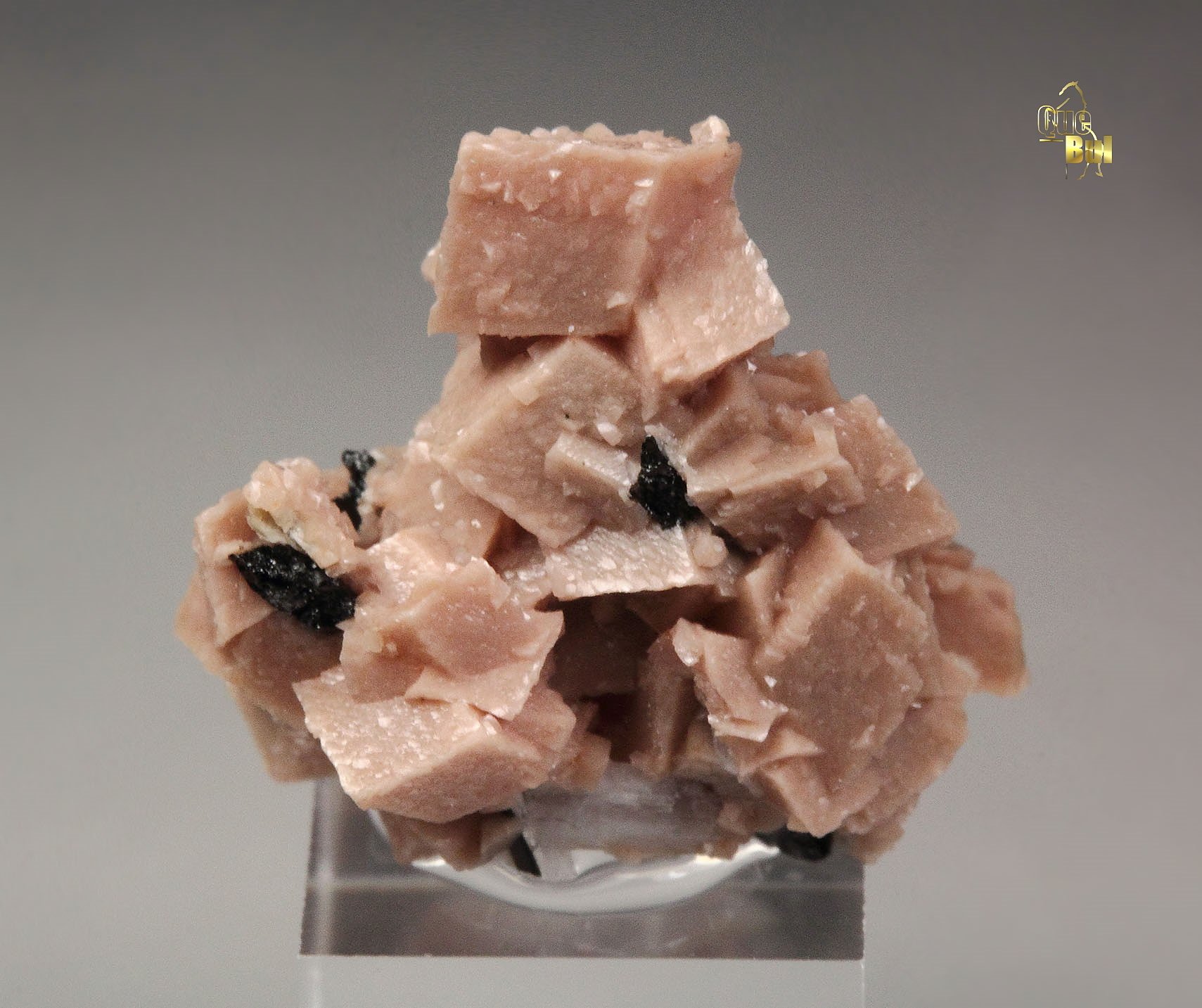 RHODOCHROSITE, AEGIRINE