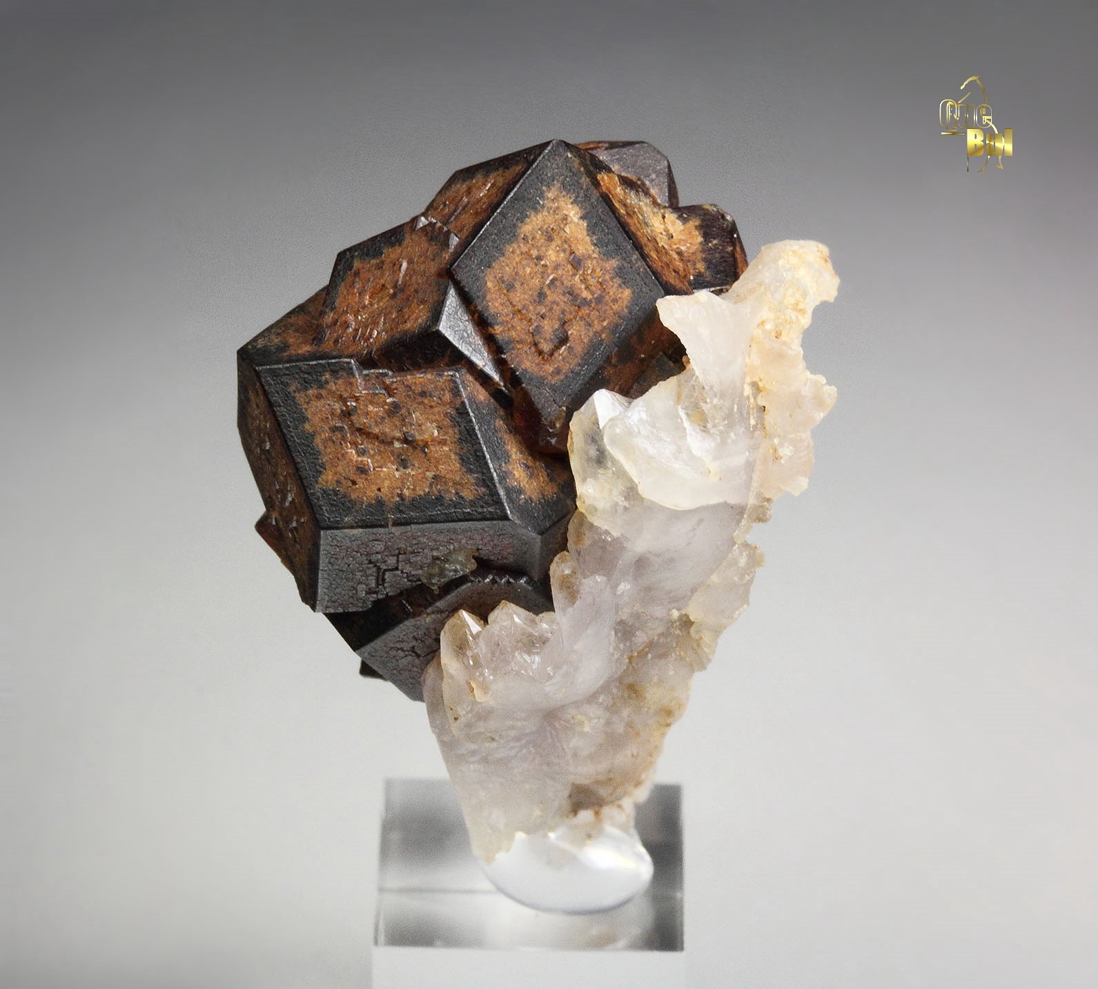 GARNET var. ANDRADITE