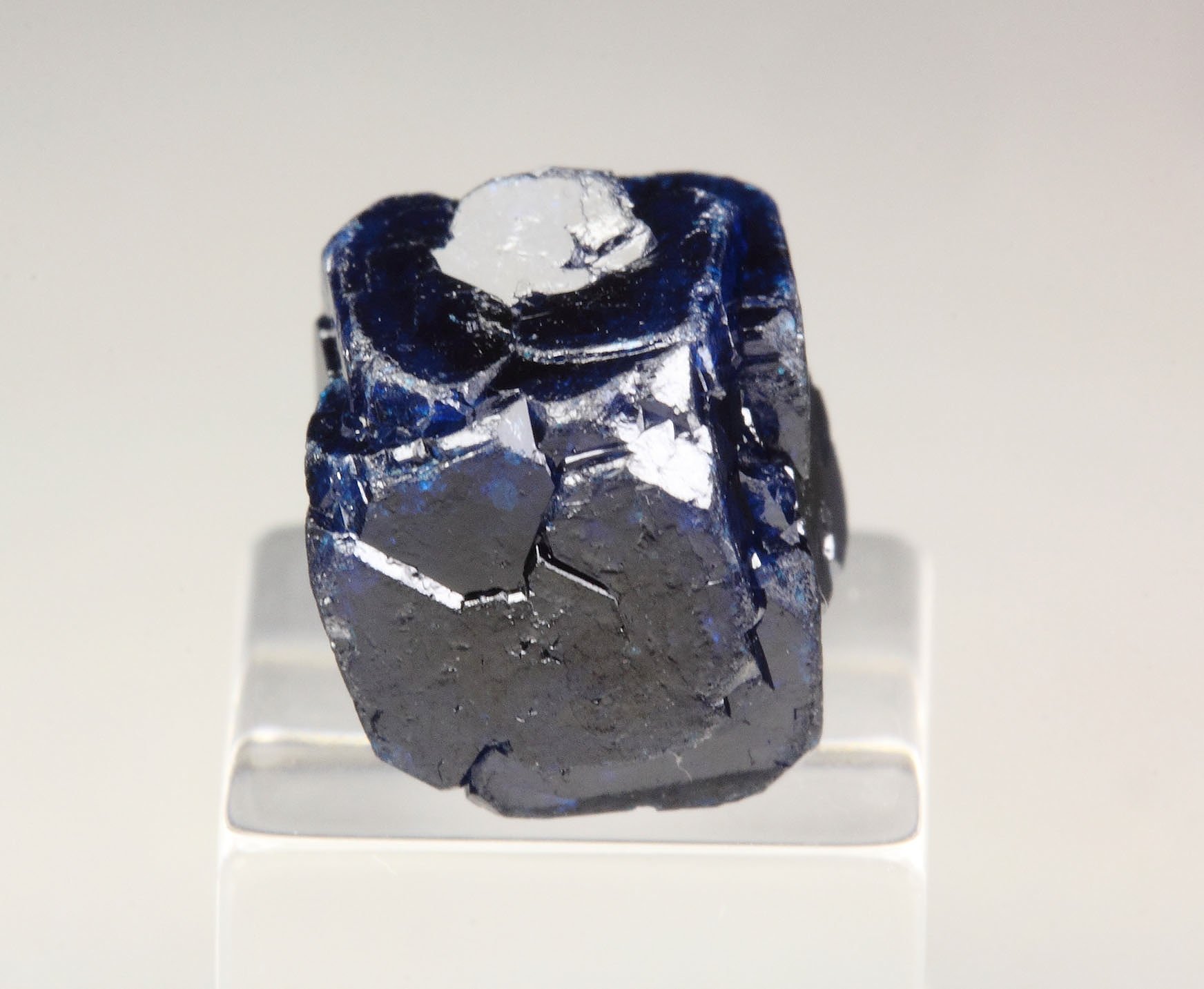 BOLEITE floater