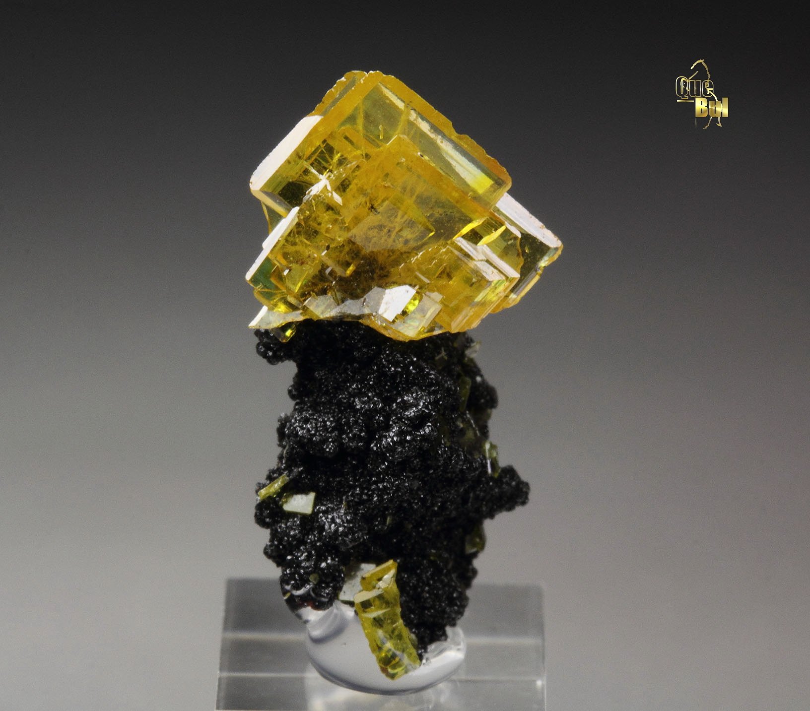 WULFENITE, MOTTRAMITE
