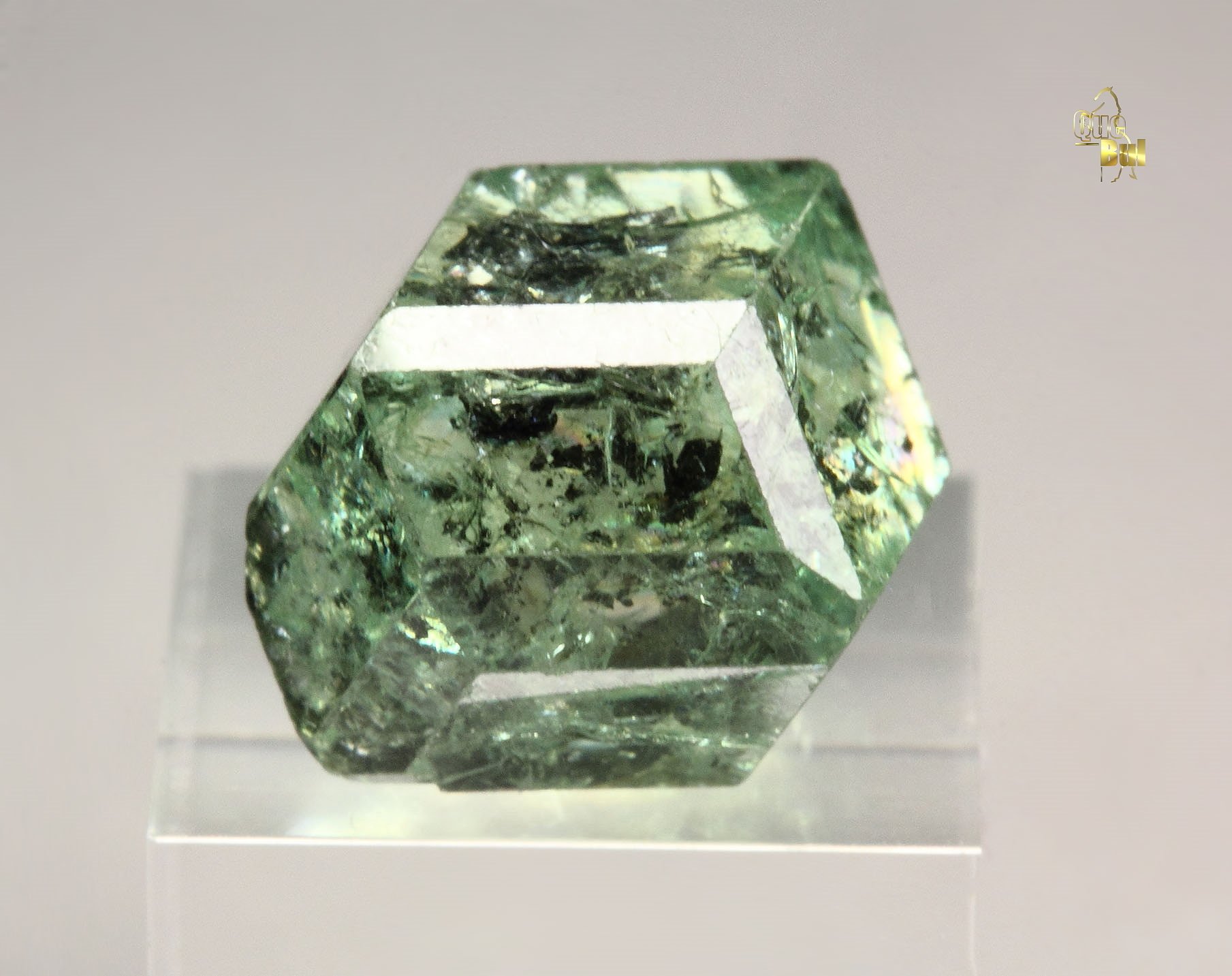 gem GARNET var. GROSSULAR var. TSAVORITE - floater